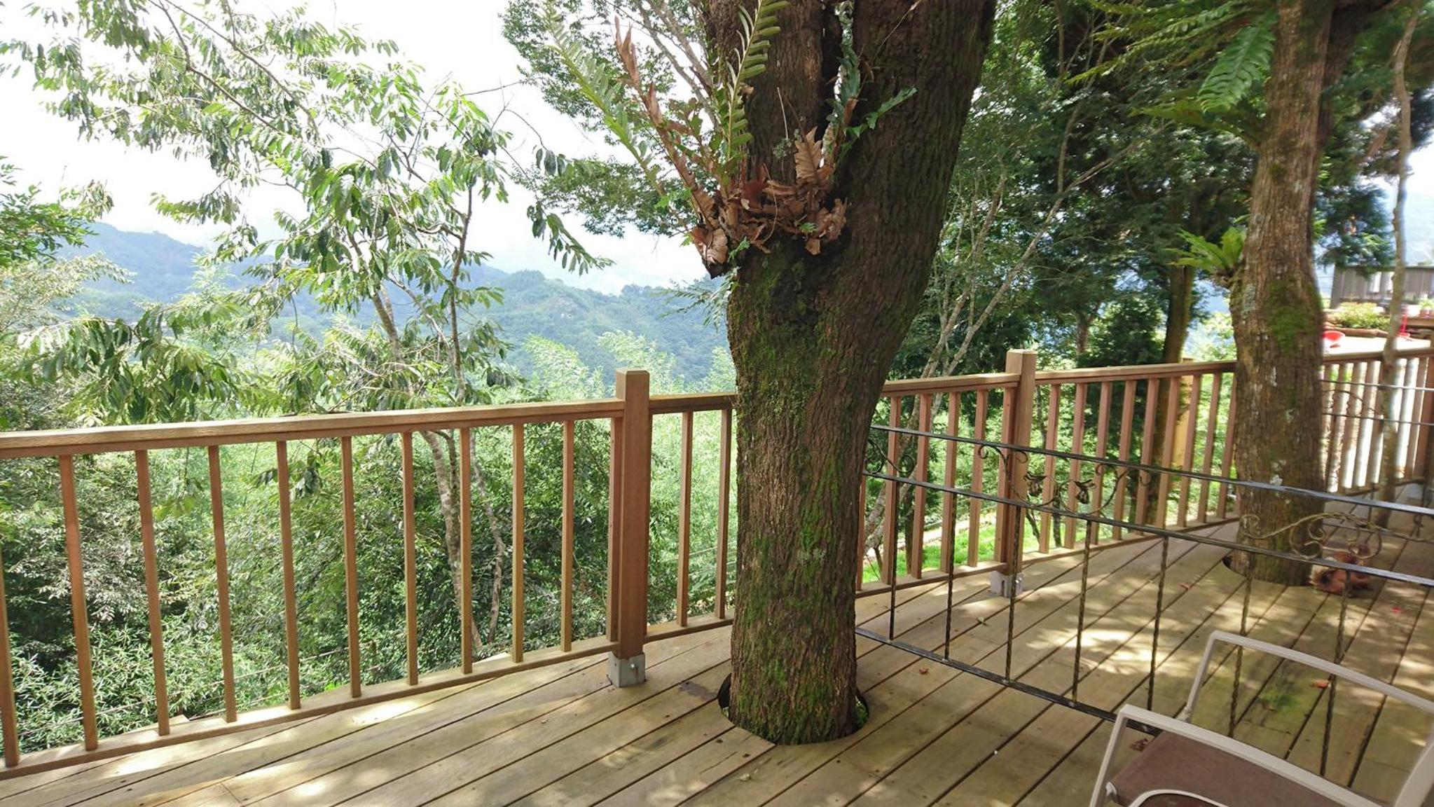 Double Room with Balcony photo 3