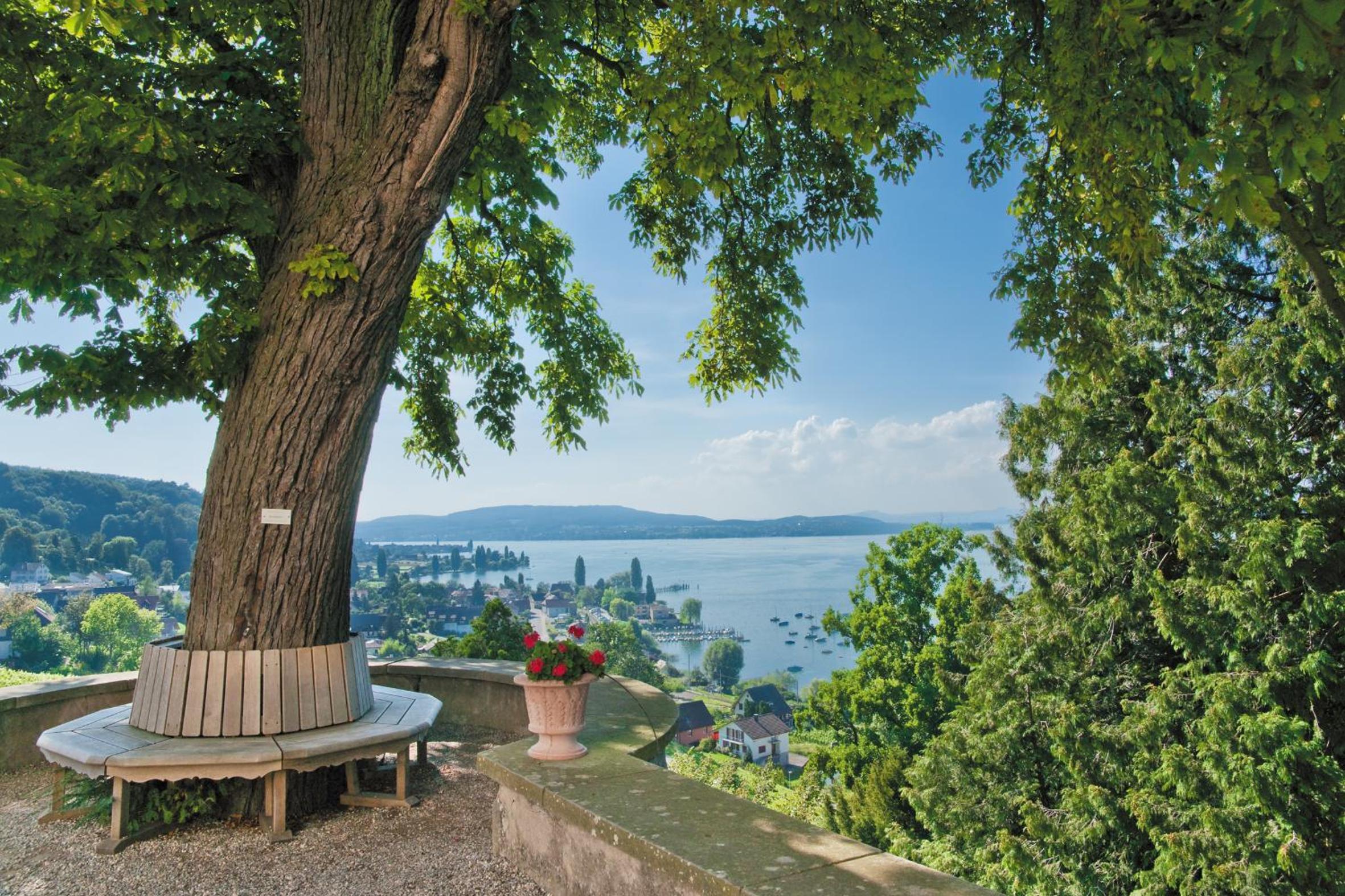 Double Room with Lake View - Photo 5