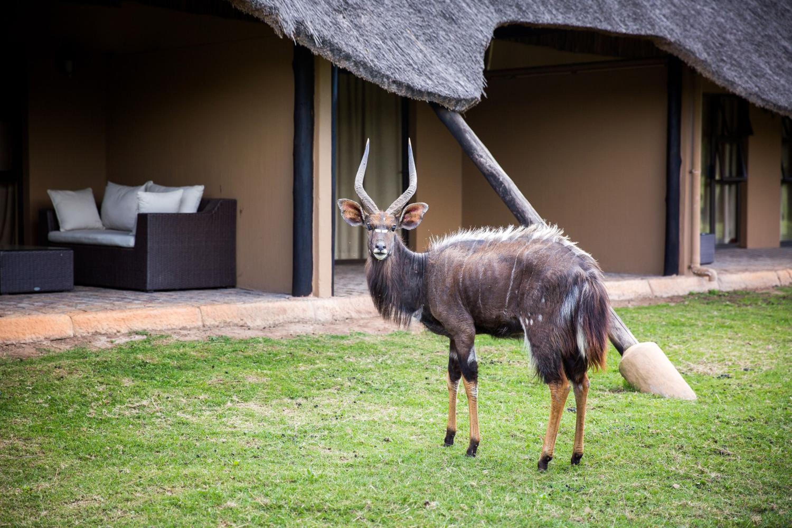 River Lodge Deluxe Room with Double Bed - Photo 7
