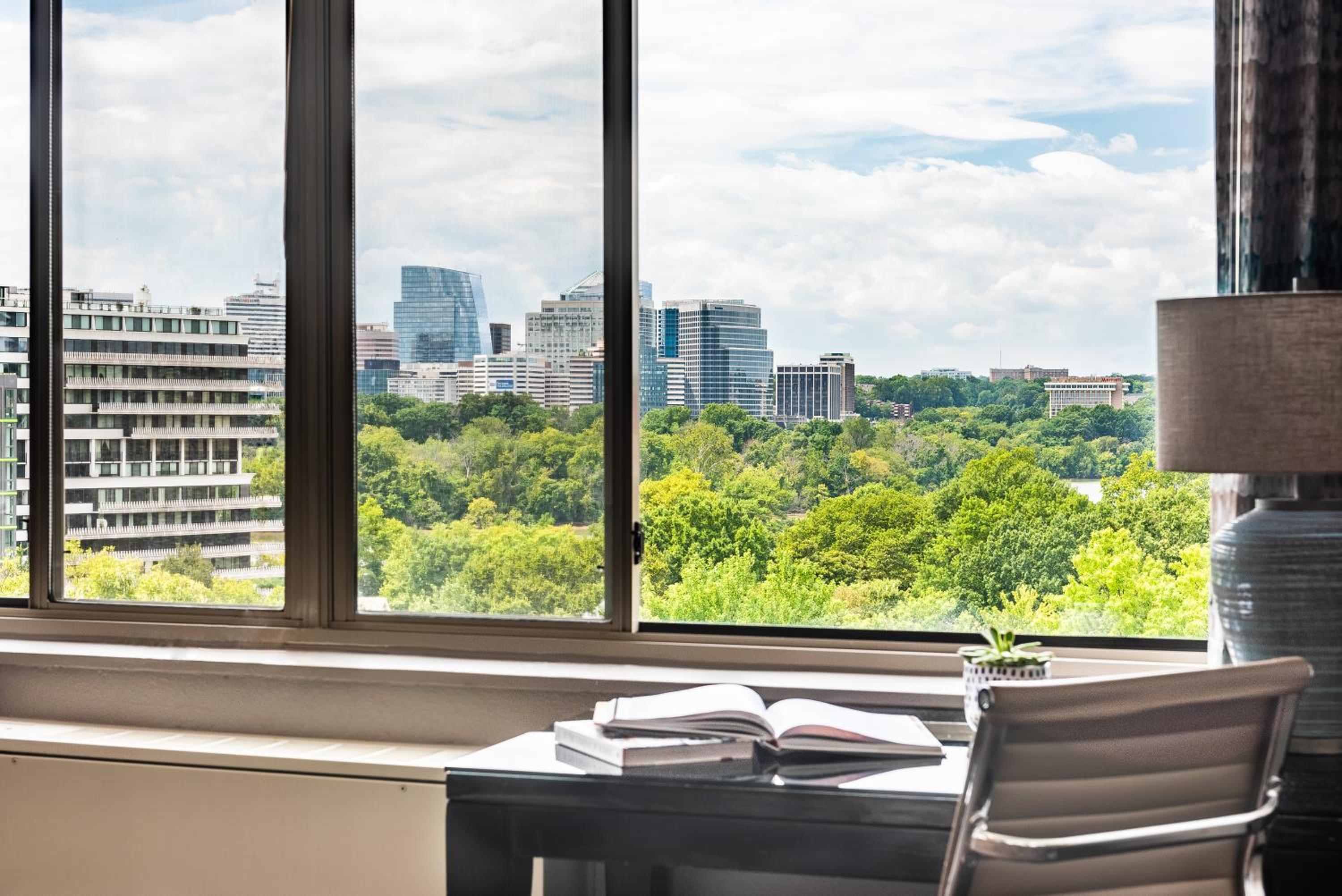 Potomac King Suite  - Photo 12