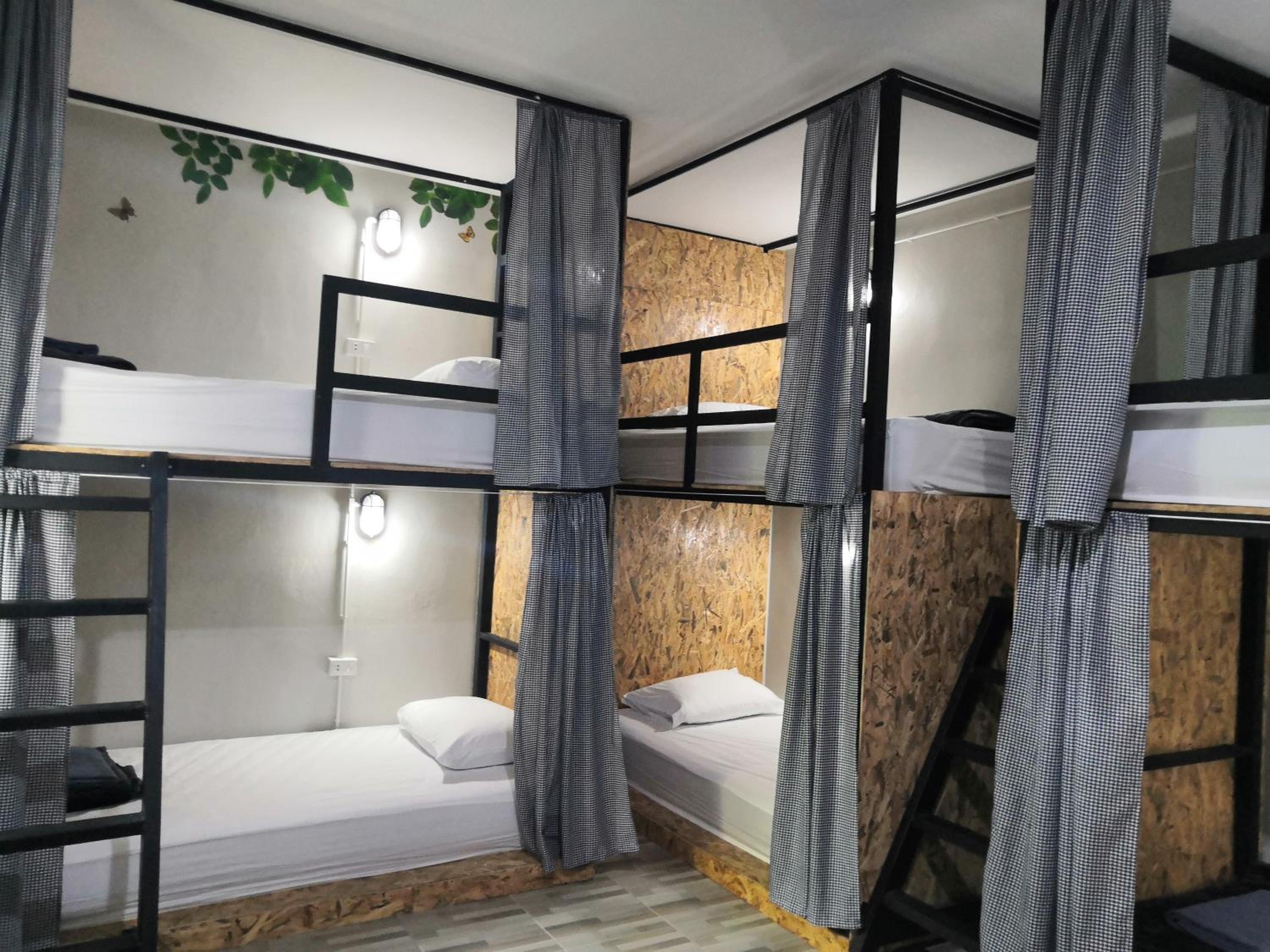 Bunk Bed in Female Dormitory Room   photo 3