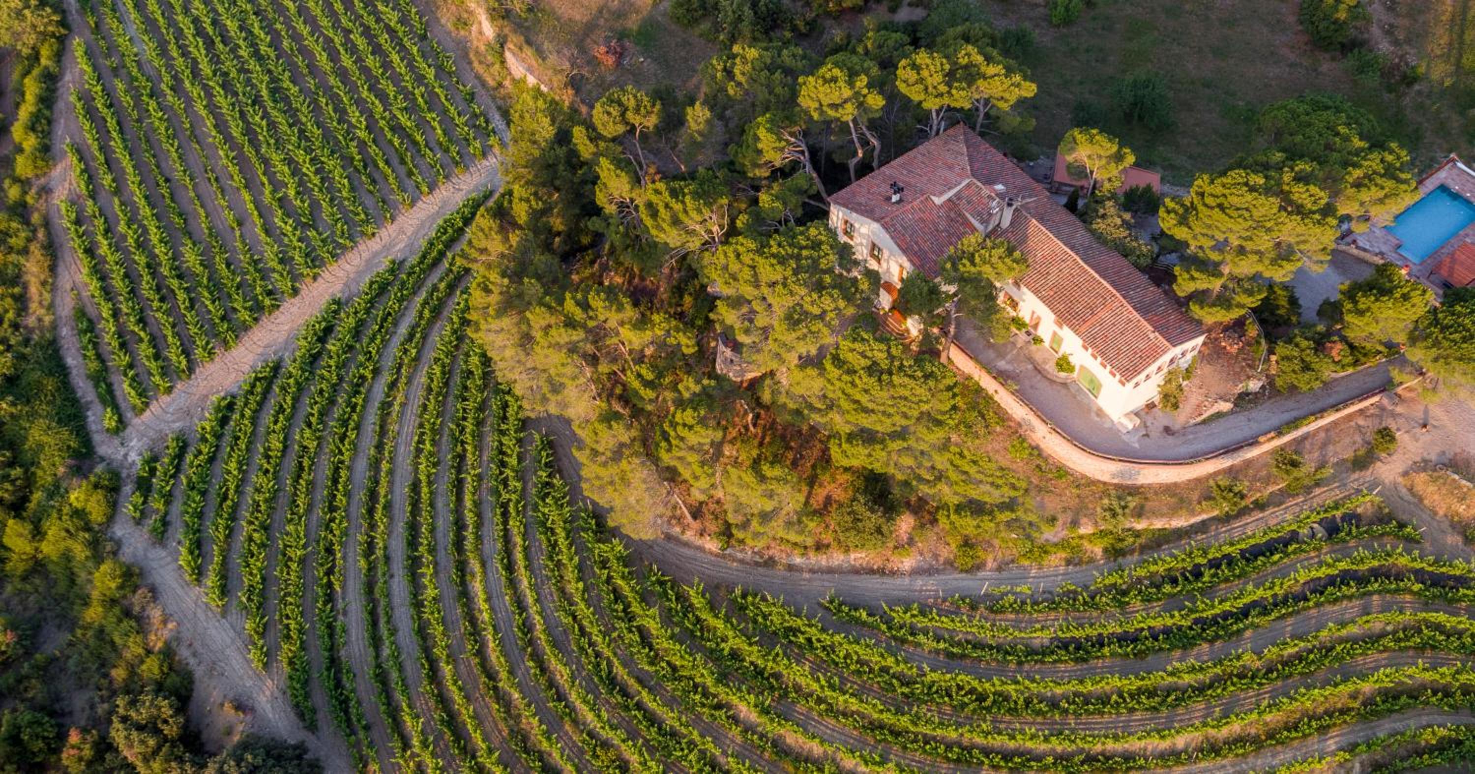 Villa photo 2