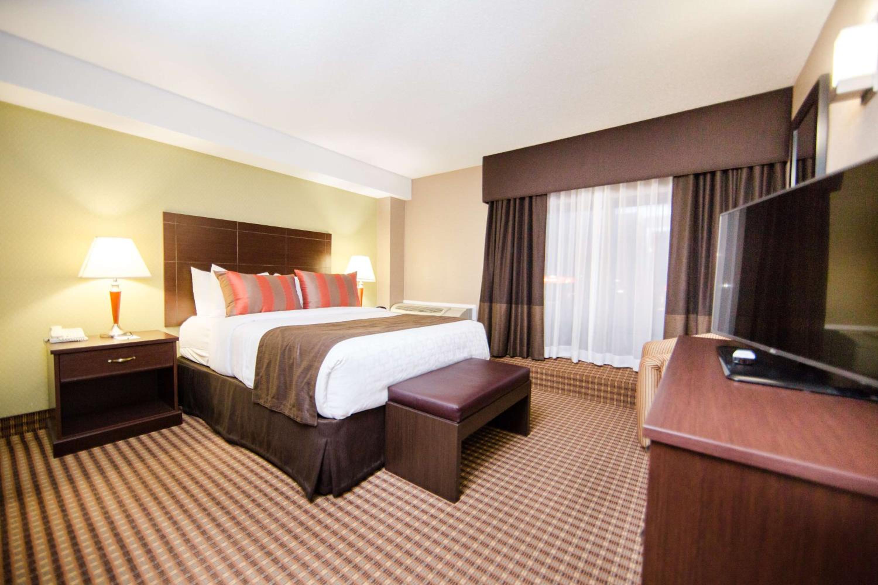 King Suite photo 1