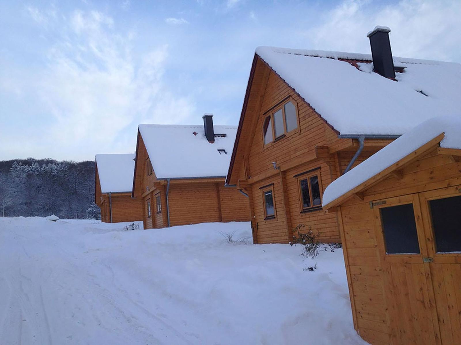 Log Cabin 3  photo 3