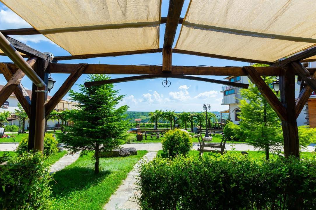 Double Room with Terrace and Vineyards View photo 2