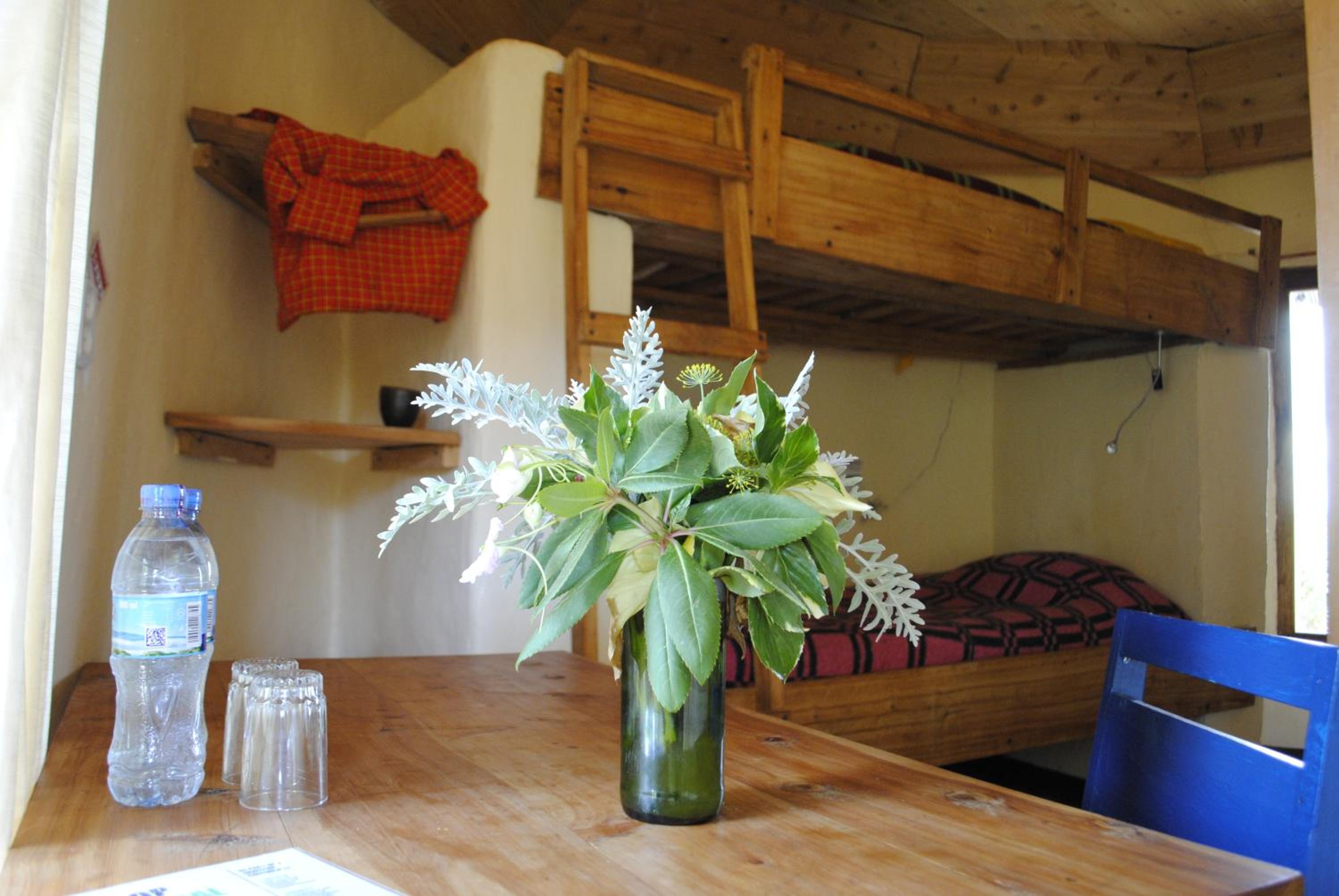 Single Bed in 4-Bed Dormitory Room photo 1