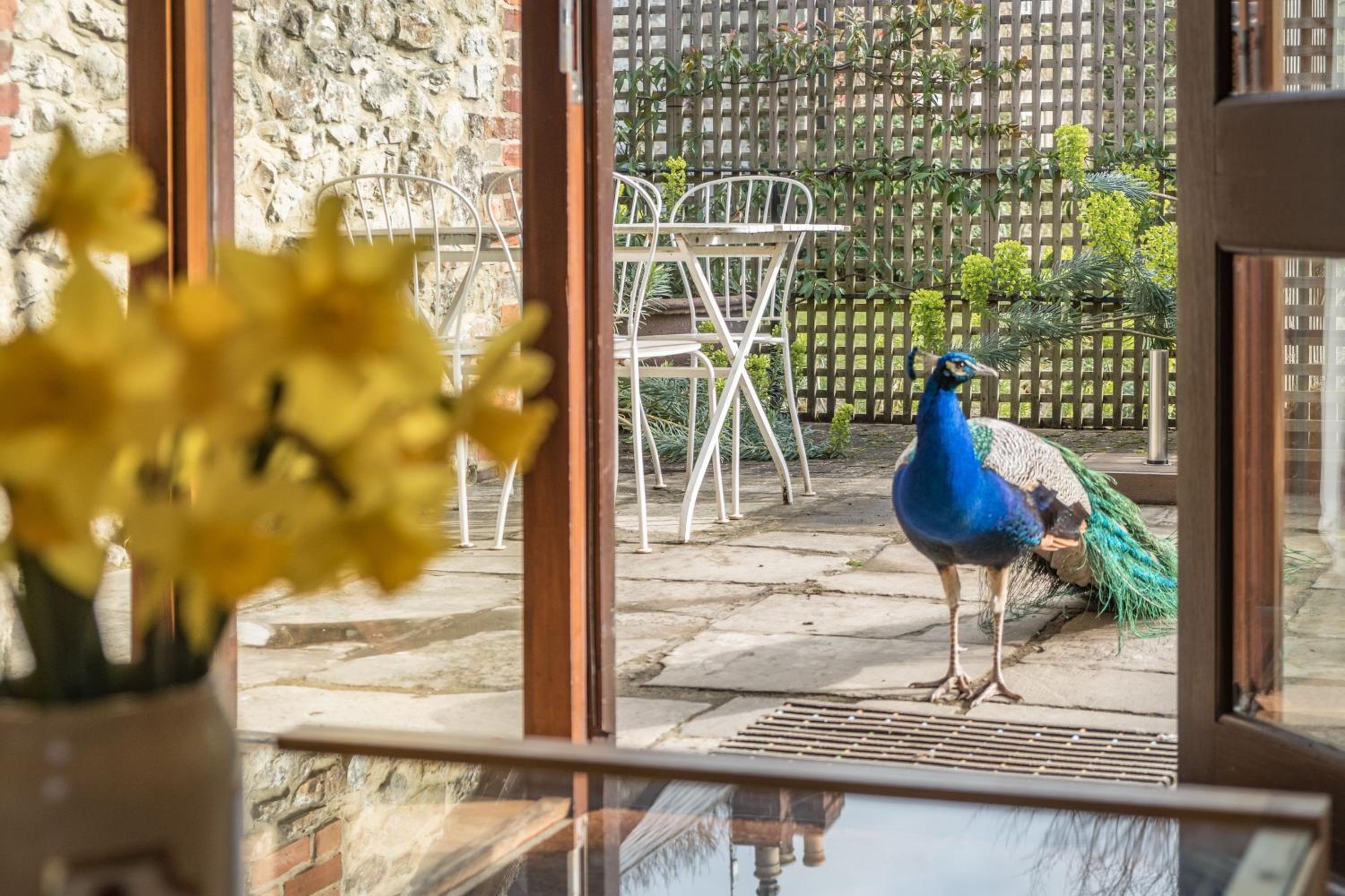 Two-Bedroom House - Kiln Cottage - Photo 5