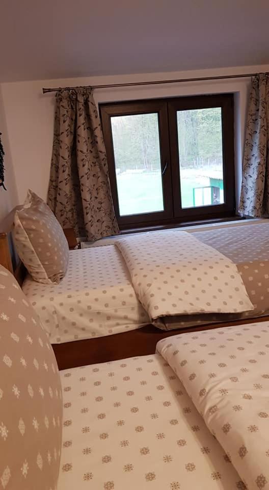 Twin Room - Photo 1