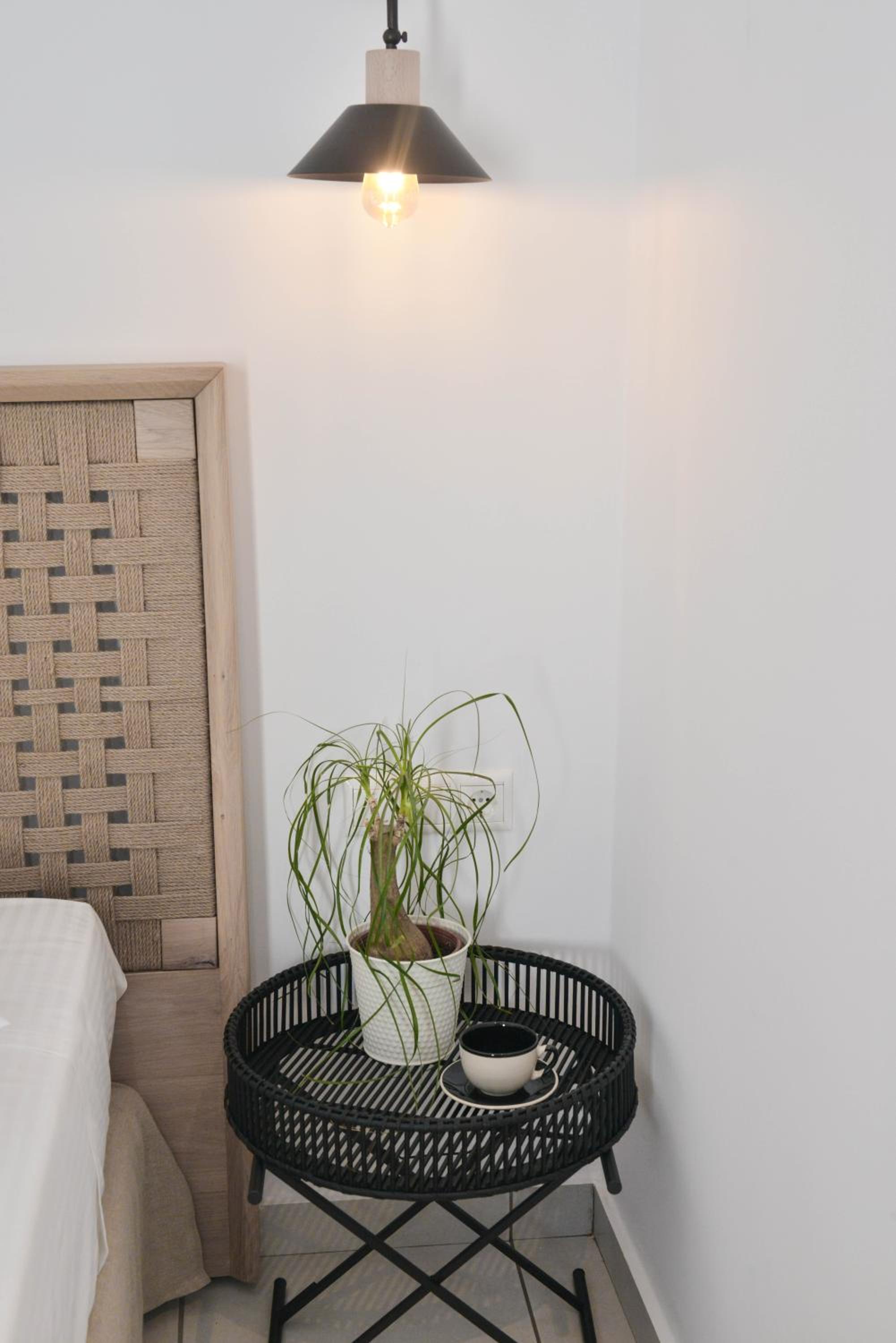 Studio with Garden View photo 3
