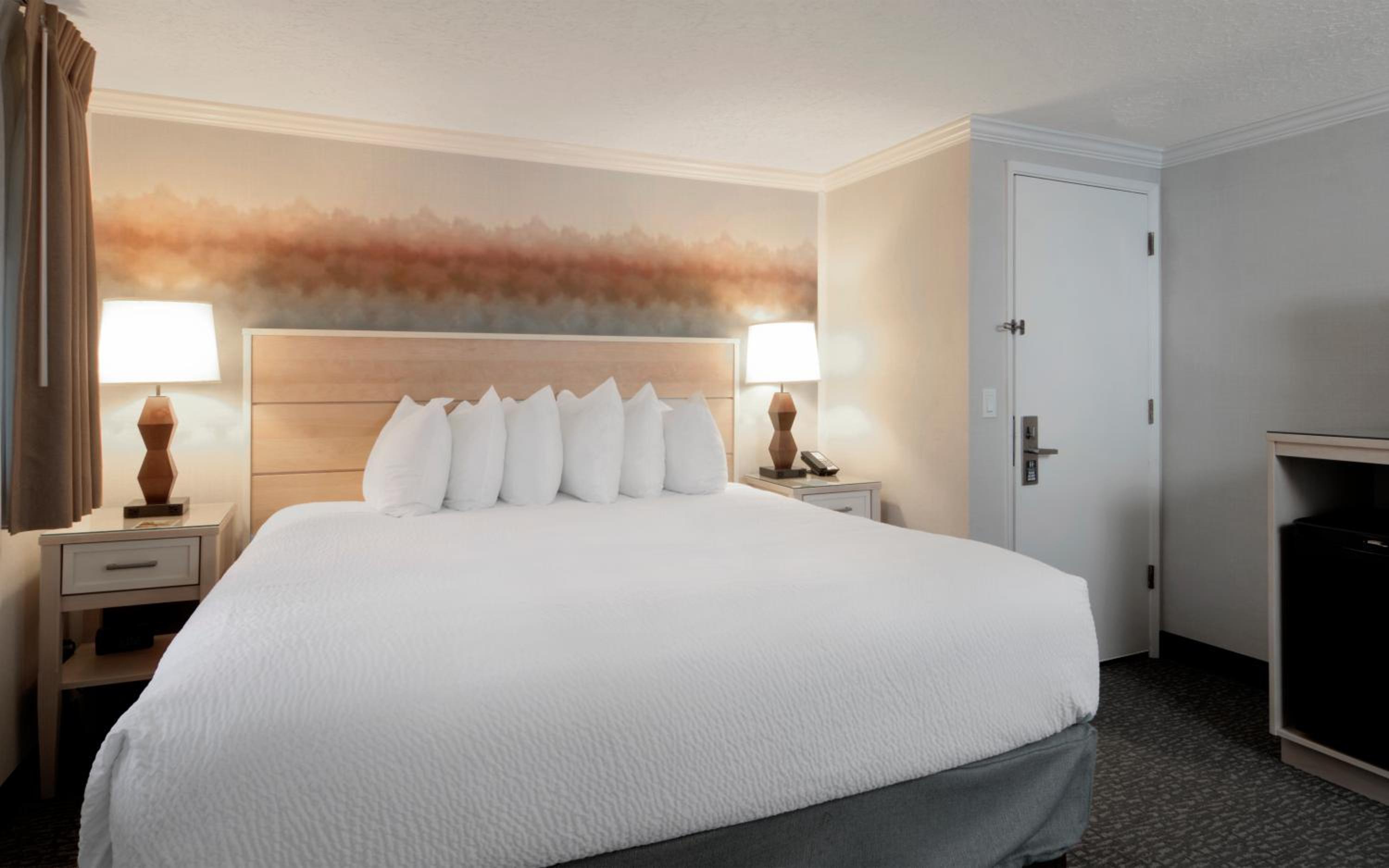 Pet Friendly Standard King Room photo 2