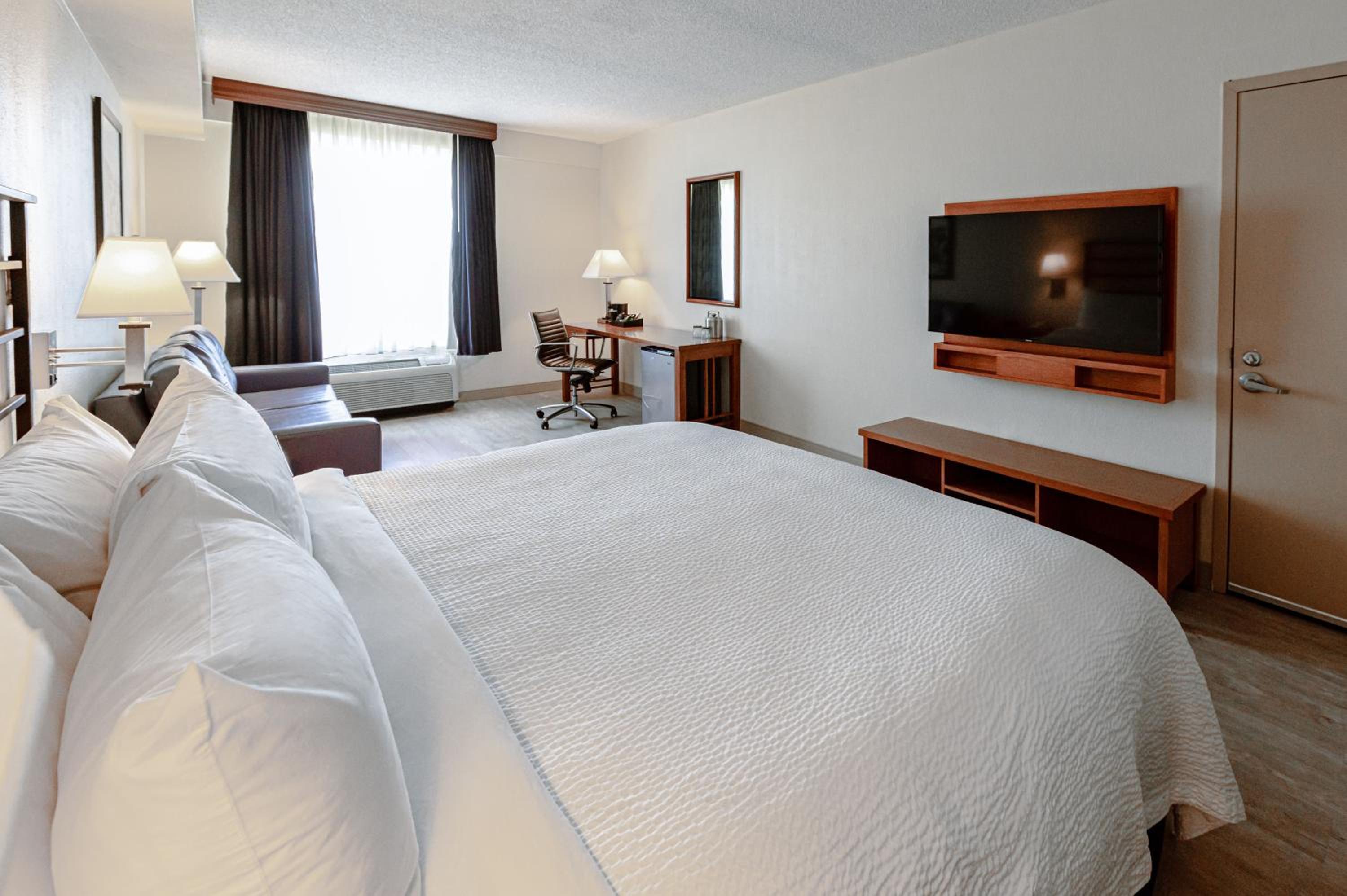 Deluxe King Room photo 1