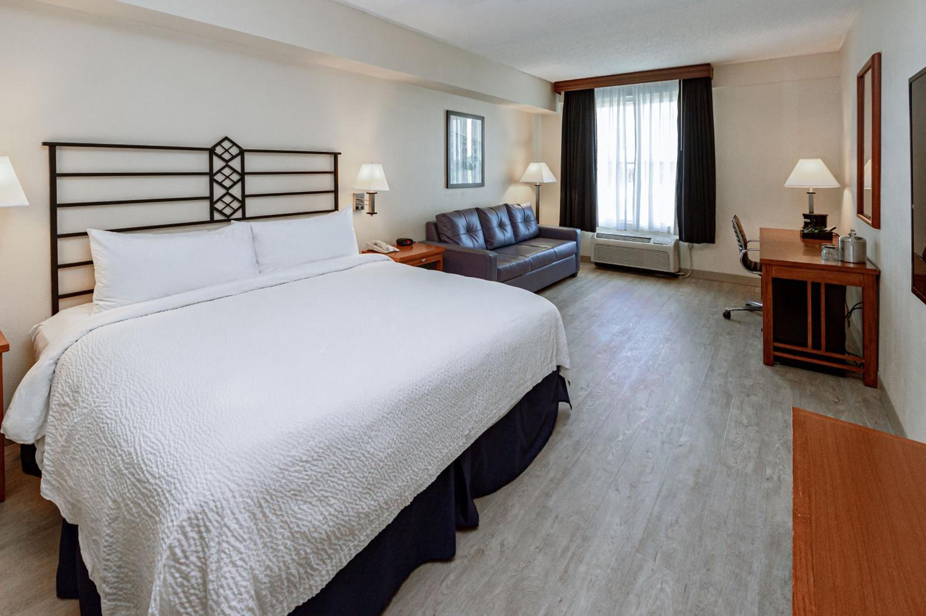 Deluxe King Room photo 3