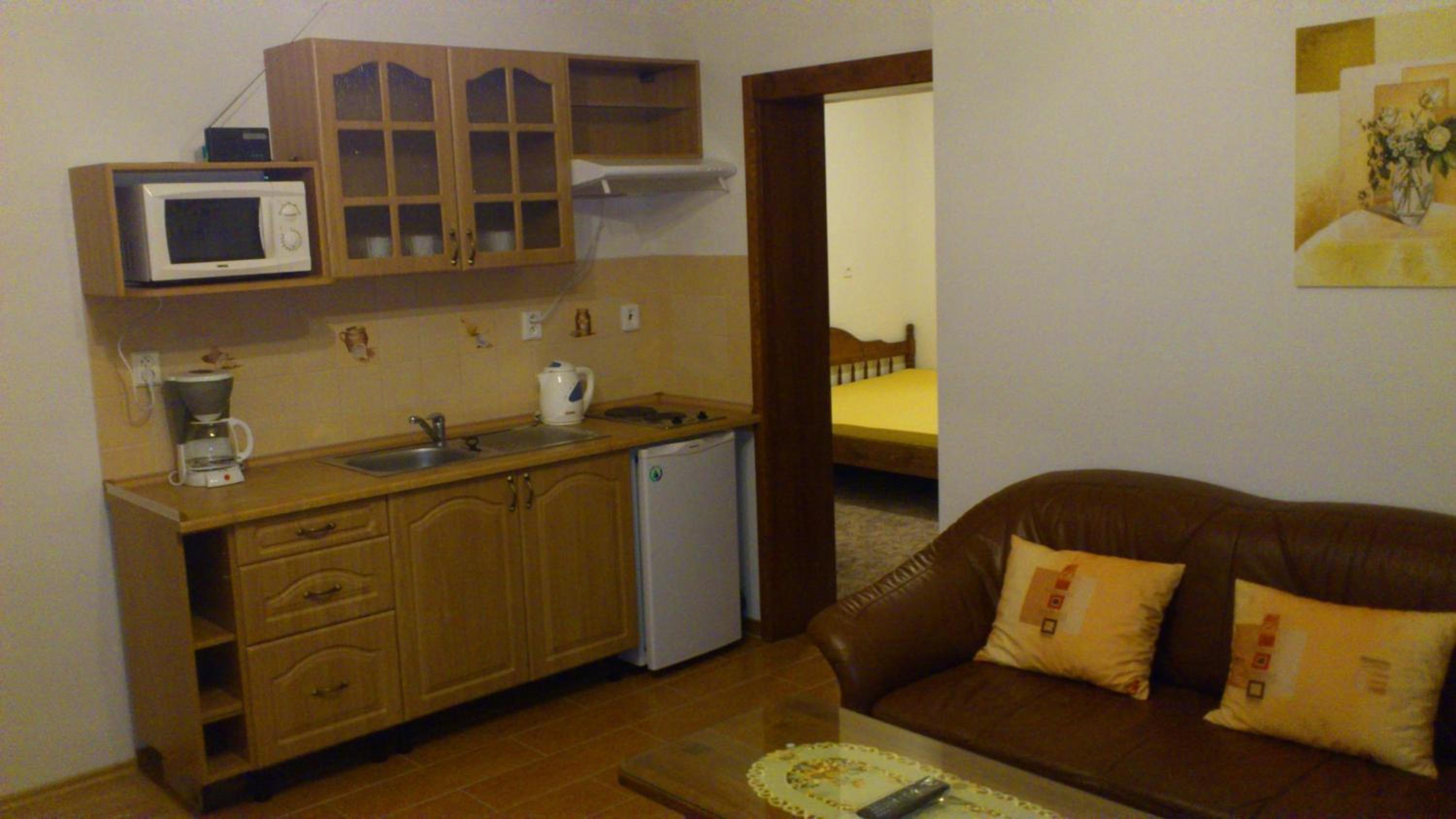 Economy One-Bedroom Apartment with Terrace photo 2