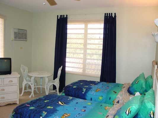 Classic Twin Room photo 2