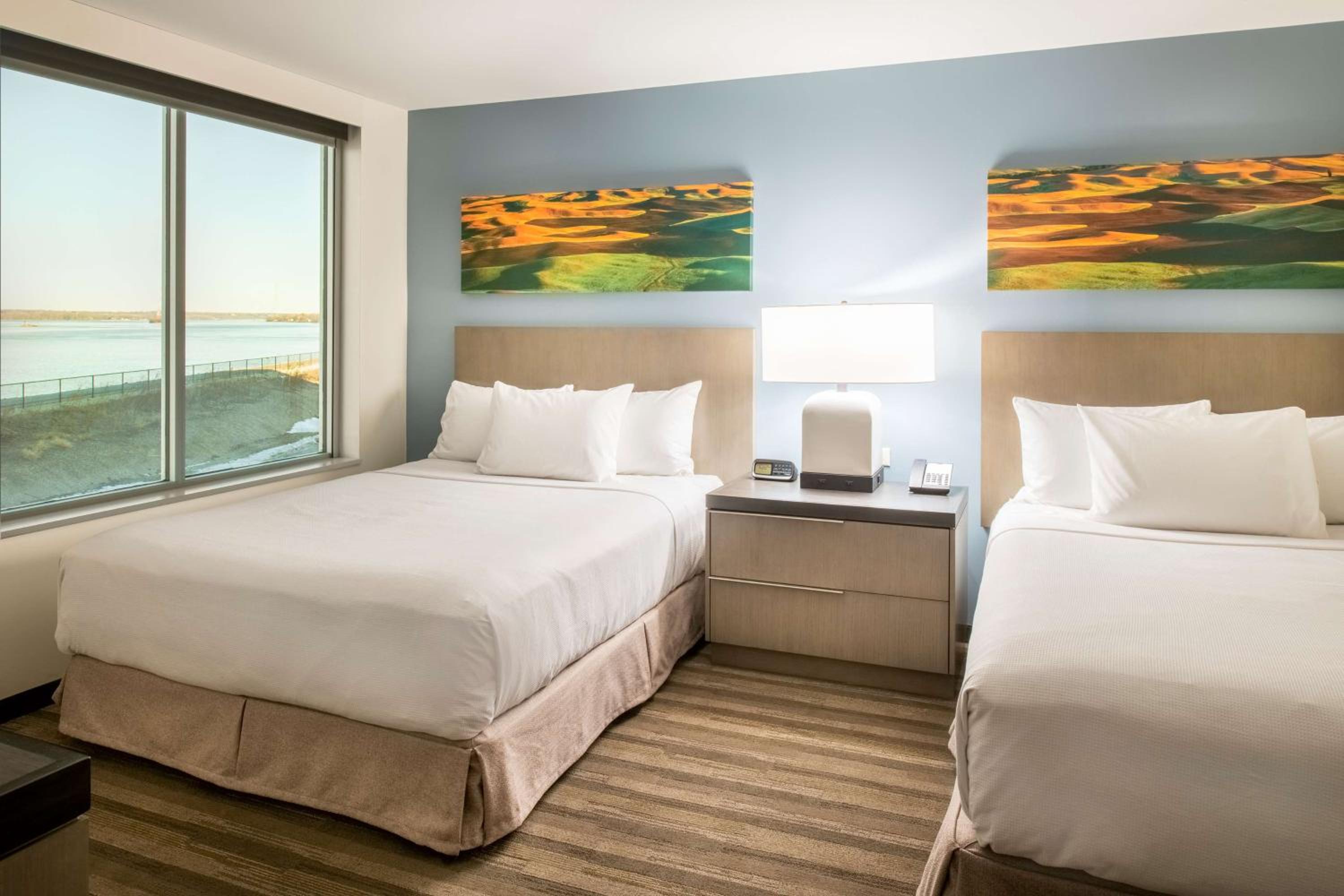 One-Bedroom King Suite with Sofa Bed and Kitchen photo 1