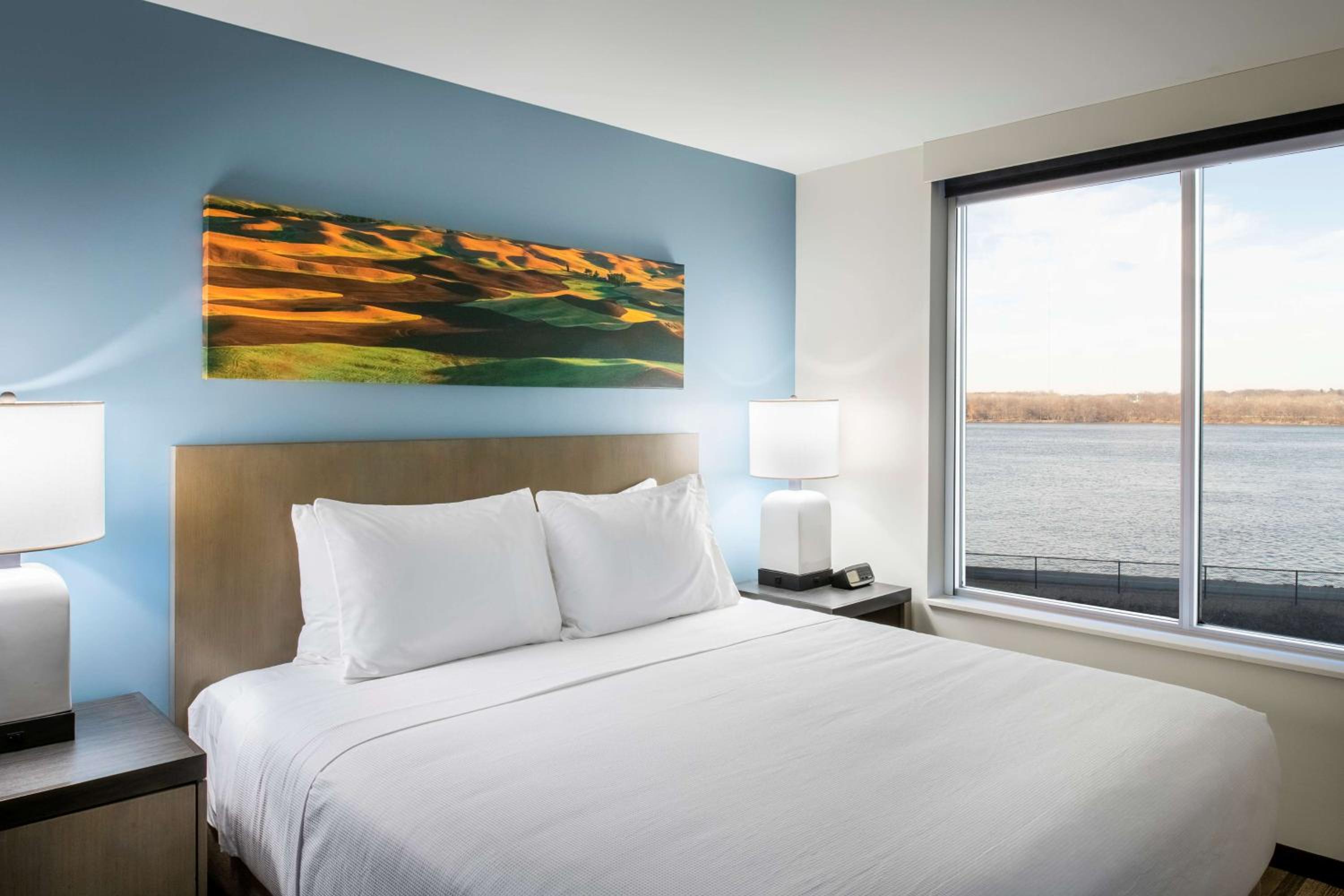 King Studio Suite with Sofa Bed and Kitchen - High Floor photo 3