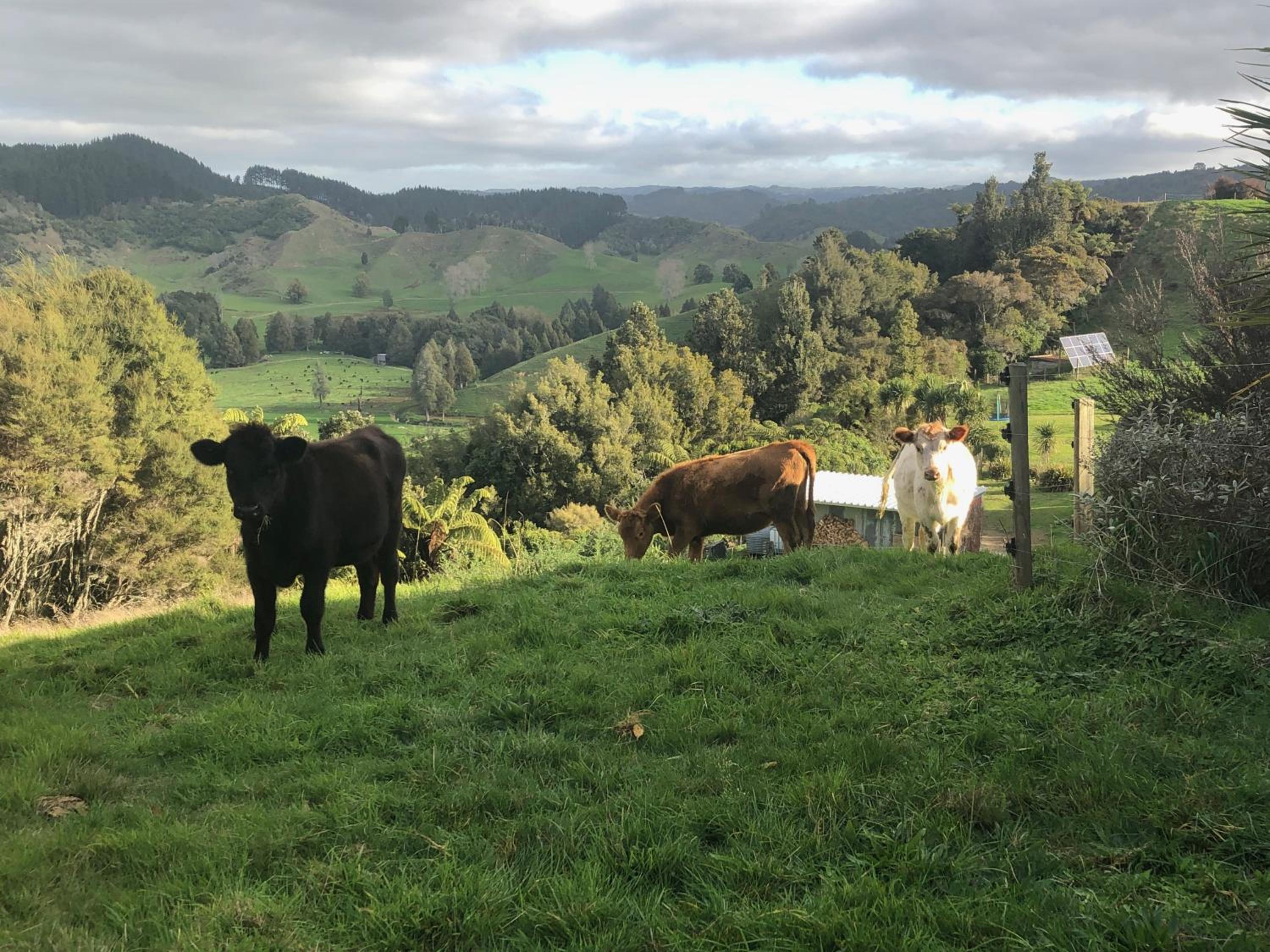 Studio with Mountain View - Photo 19