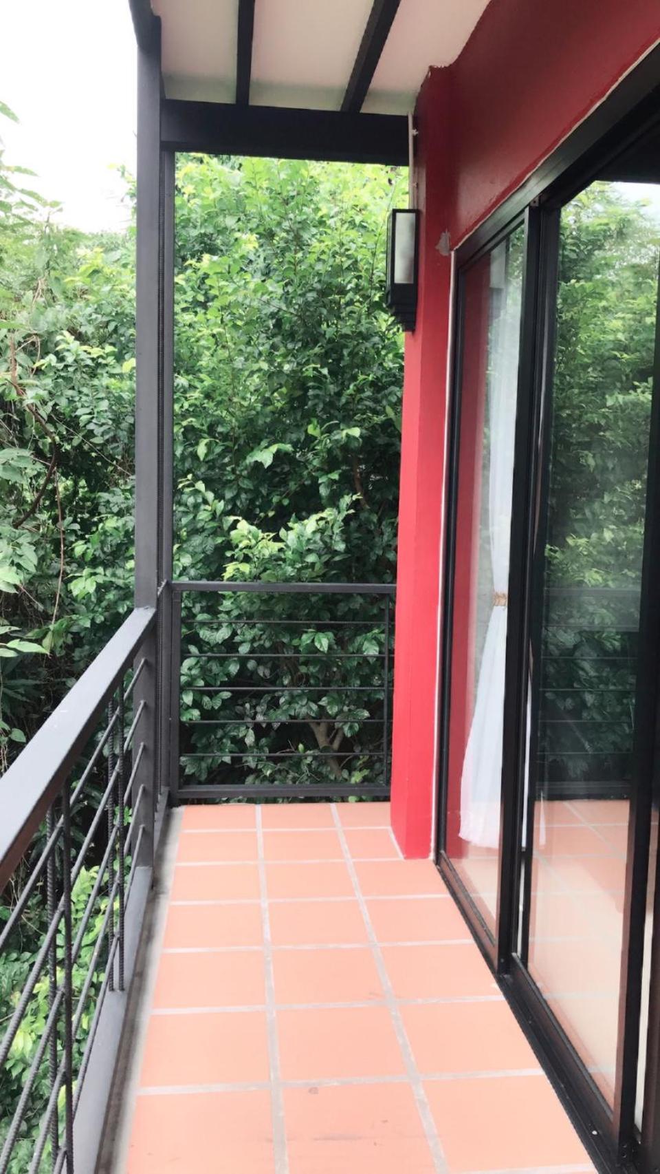 King Room with Garden View photo 2
