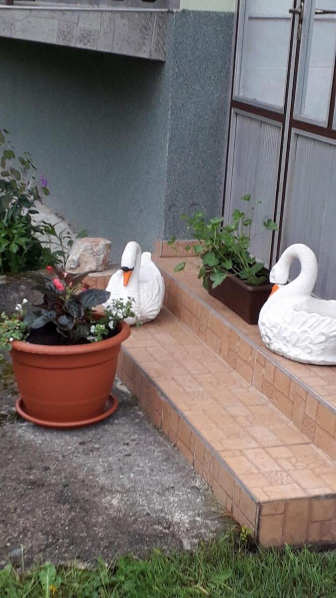 Holiday Home photo 2