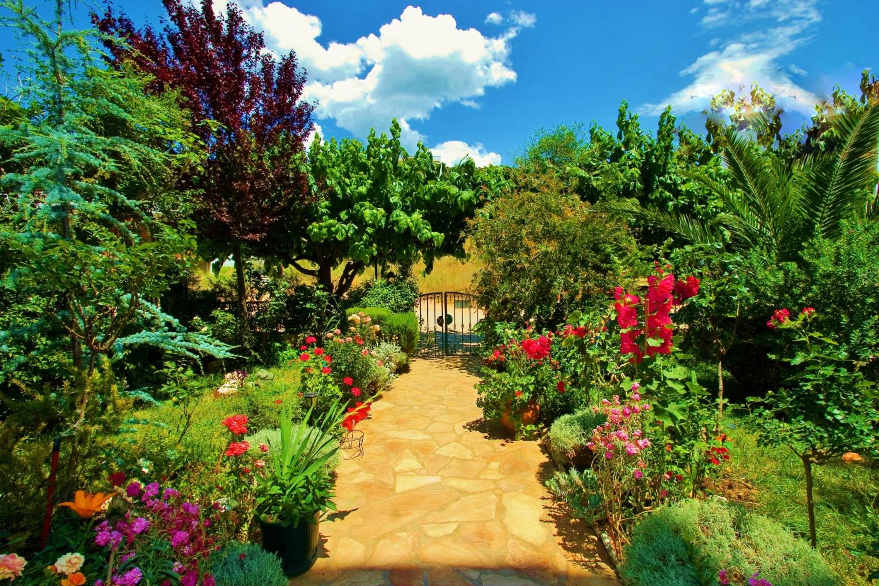 Studio with Mountain and Garden View photo 3