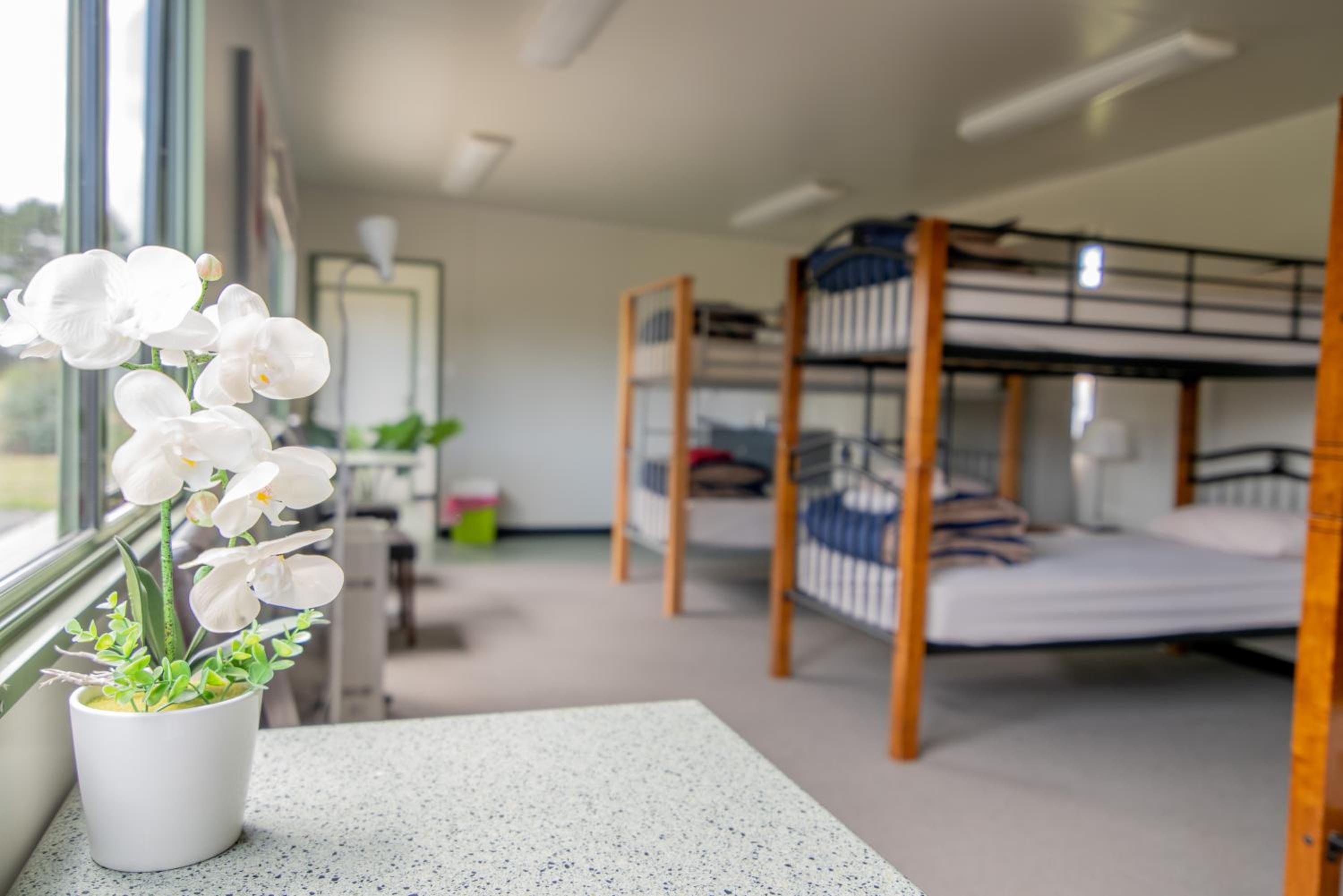 Budget Double or Twin Room - Photo 1