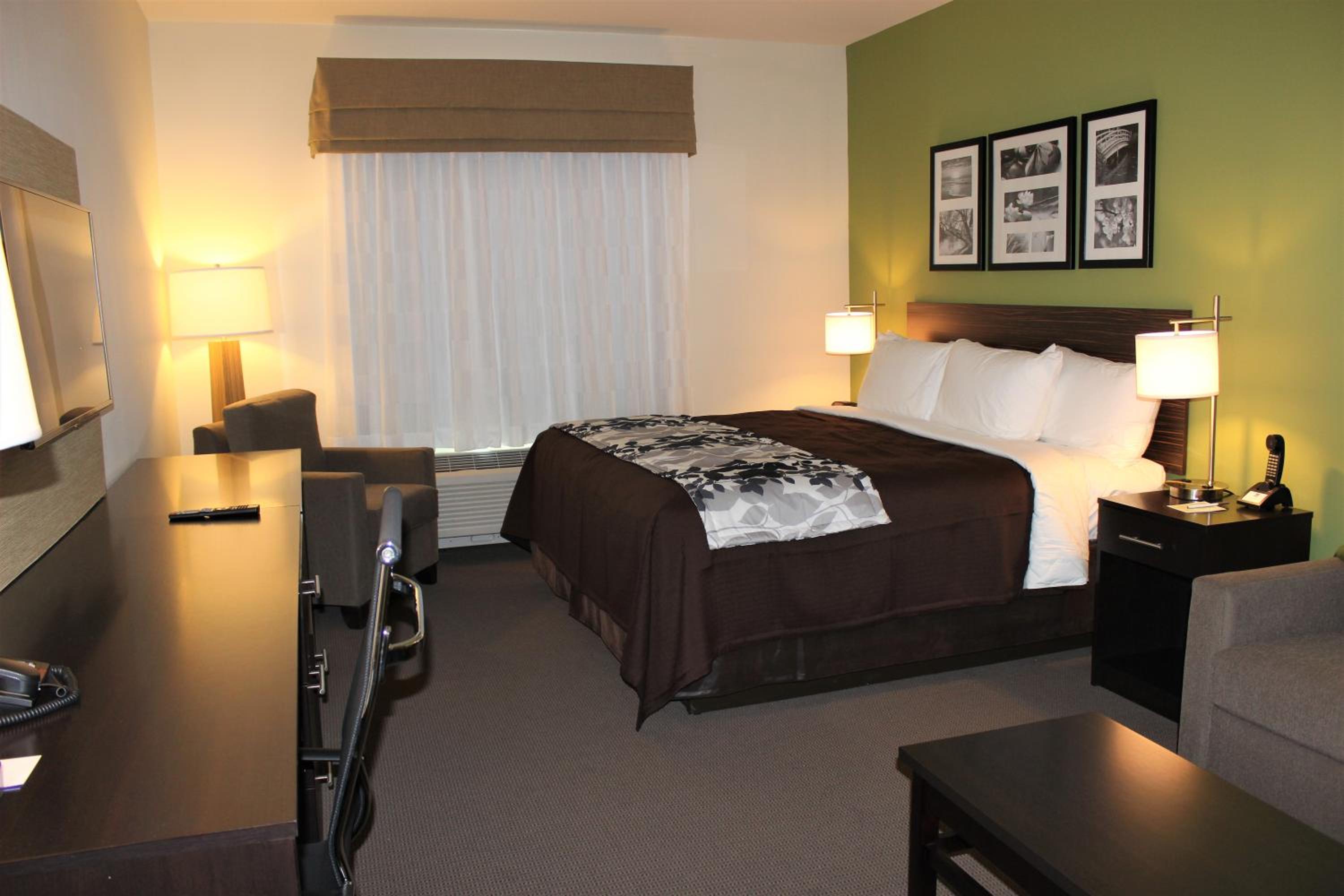King Room - Non-Smoking photo 1