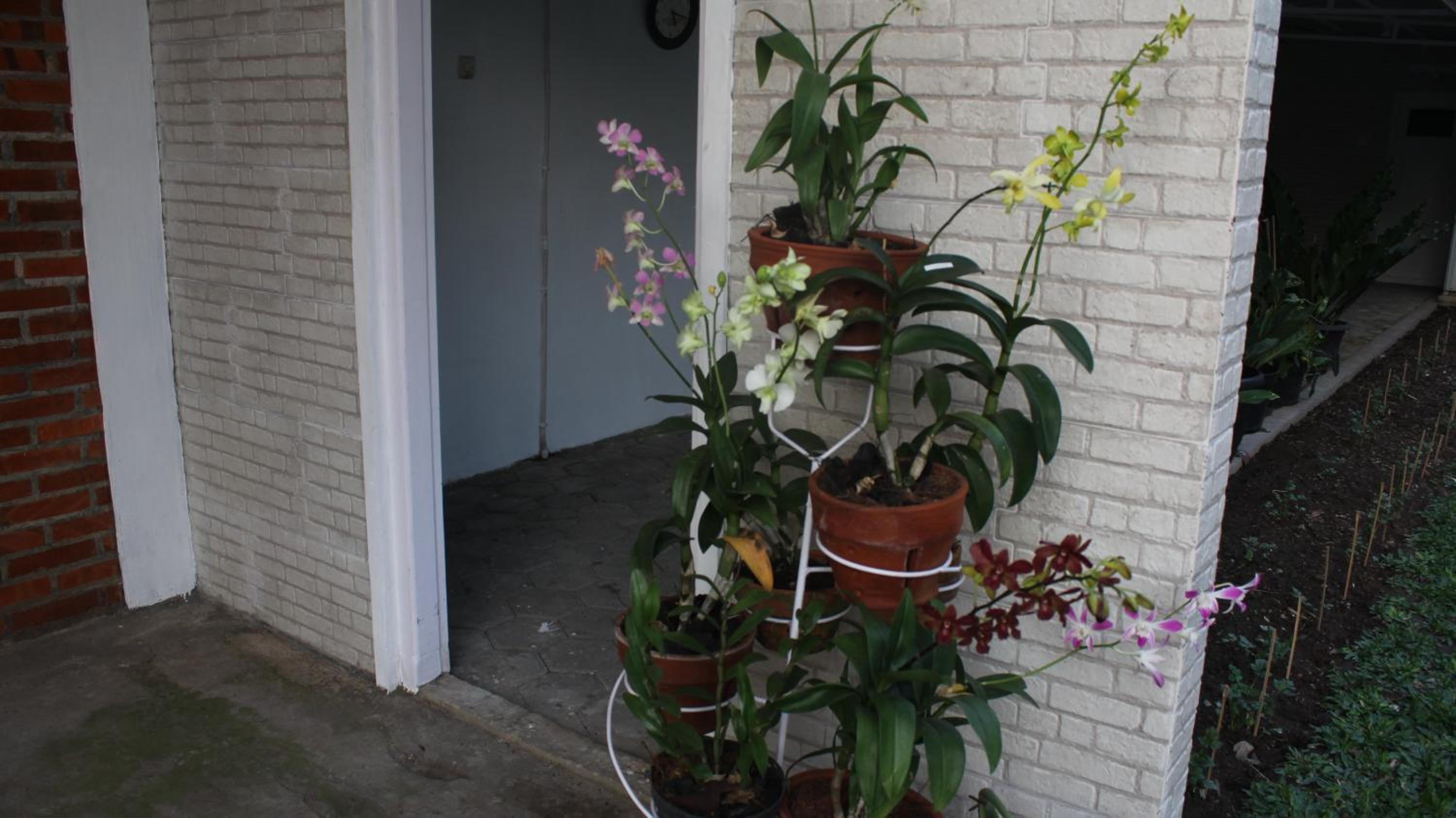 Family Room with Garden View photo 3