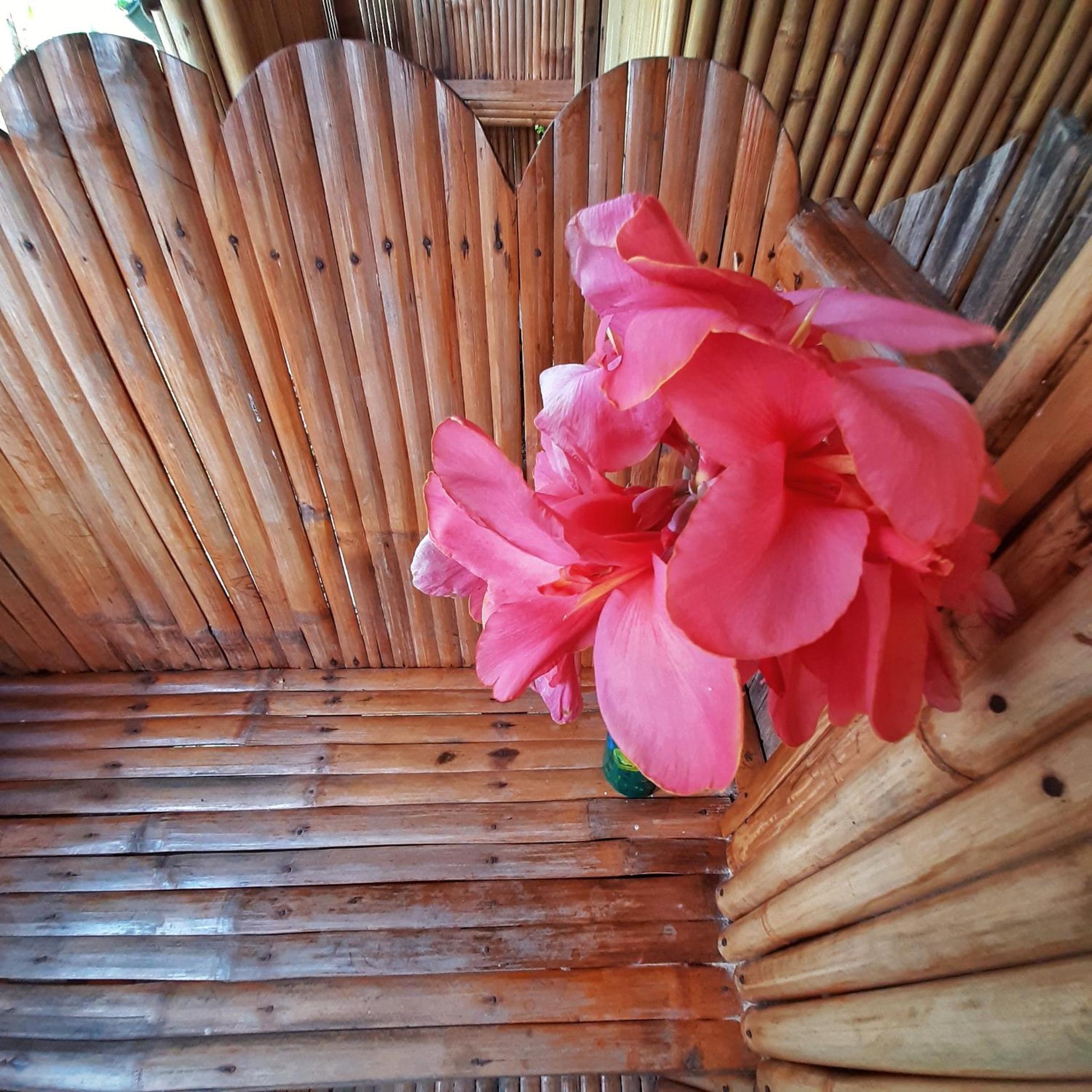 Double Room with Garden View - Photo 17
