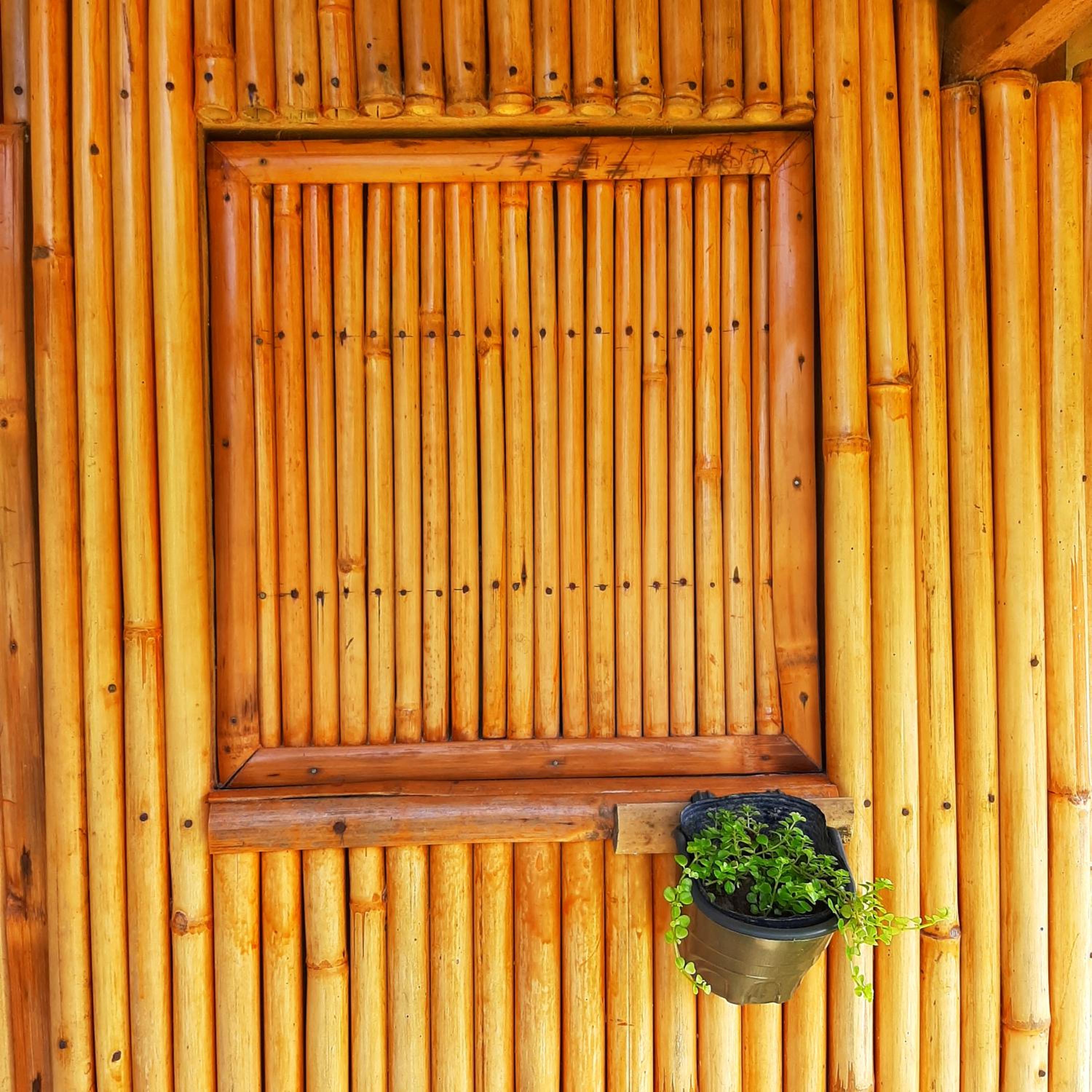 Double Room with Garden View - Photo 26