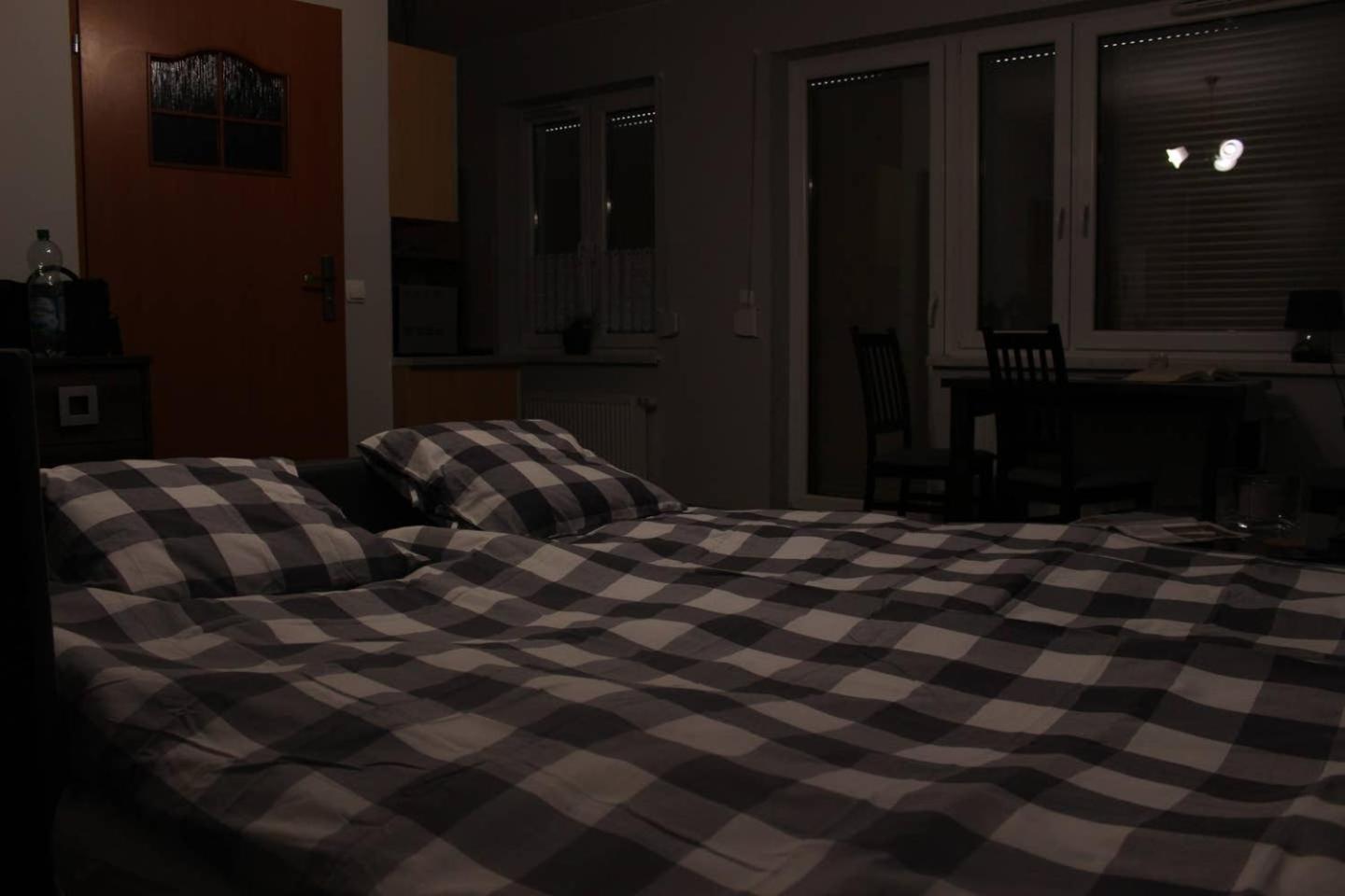 One-Bedroom Apartment photo 3