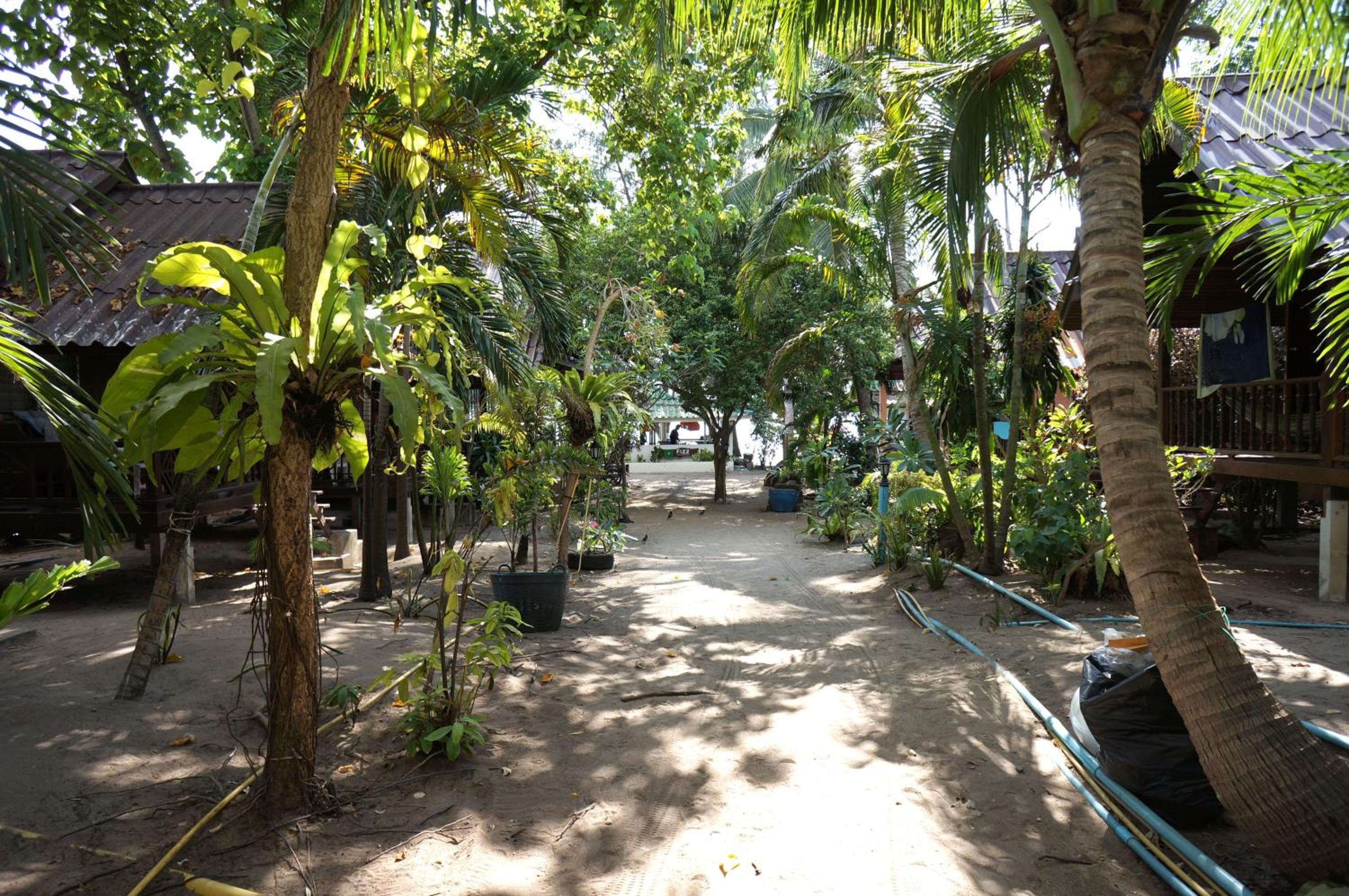Superior Double or Twin Room with Garden View with Fan photo 3