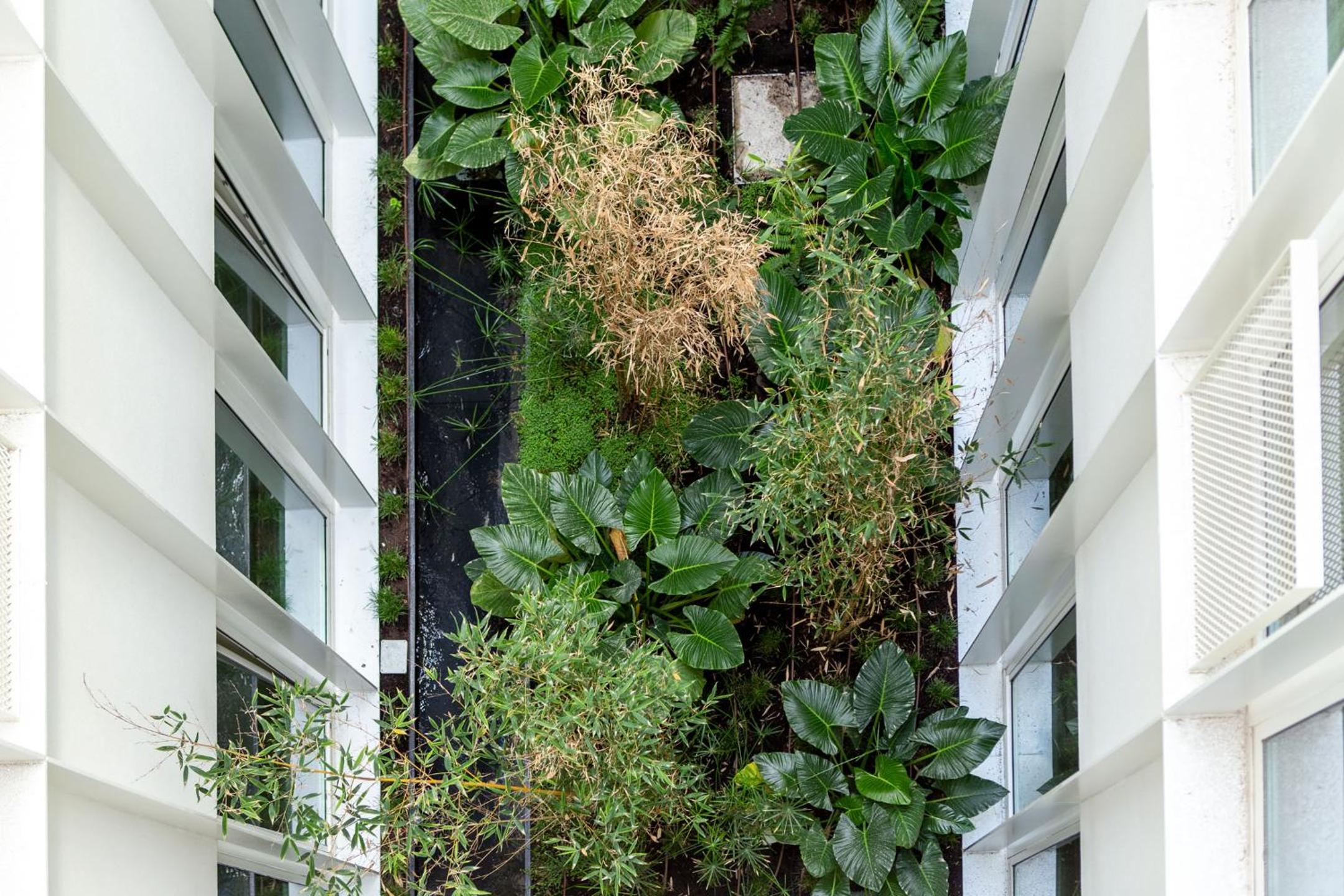 Apartment with Terrace photo 2