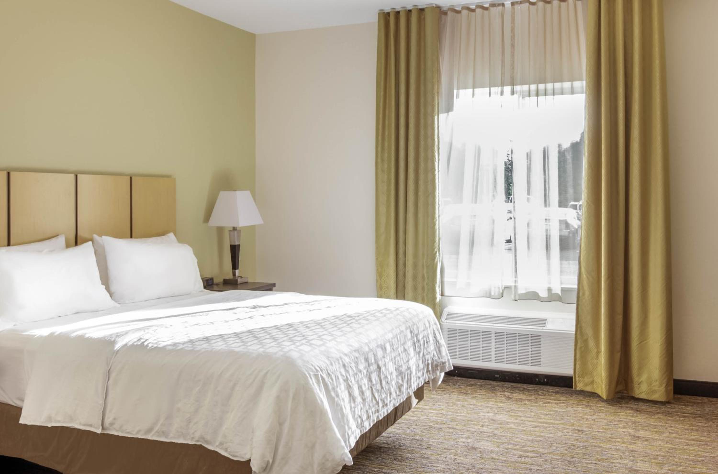 Queen Studio Suite - Disability Access - Photo 1