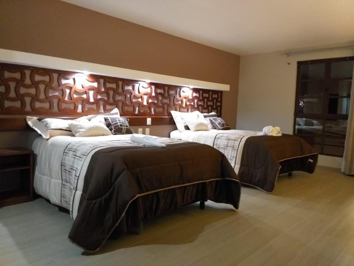 Superior Twin Room with City View