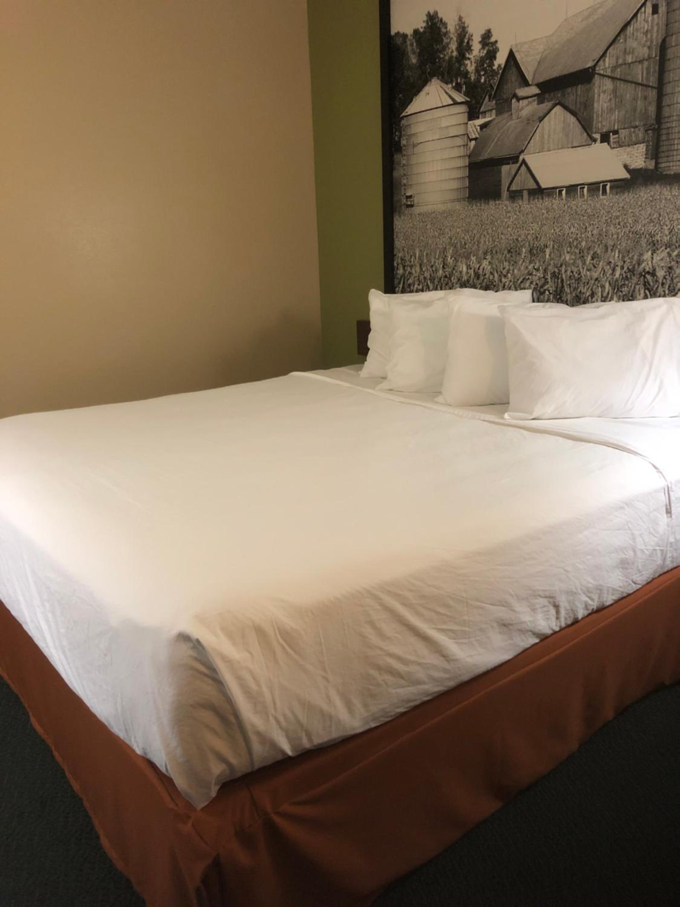 1 King Bed Suite with Jetted Tub Non-Smoking - Photo 3