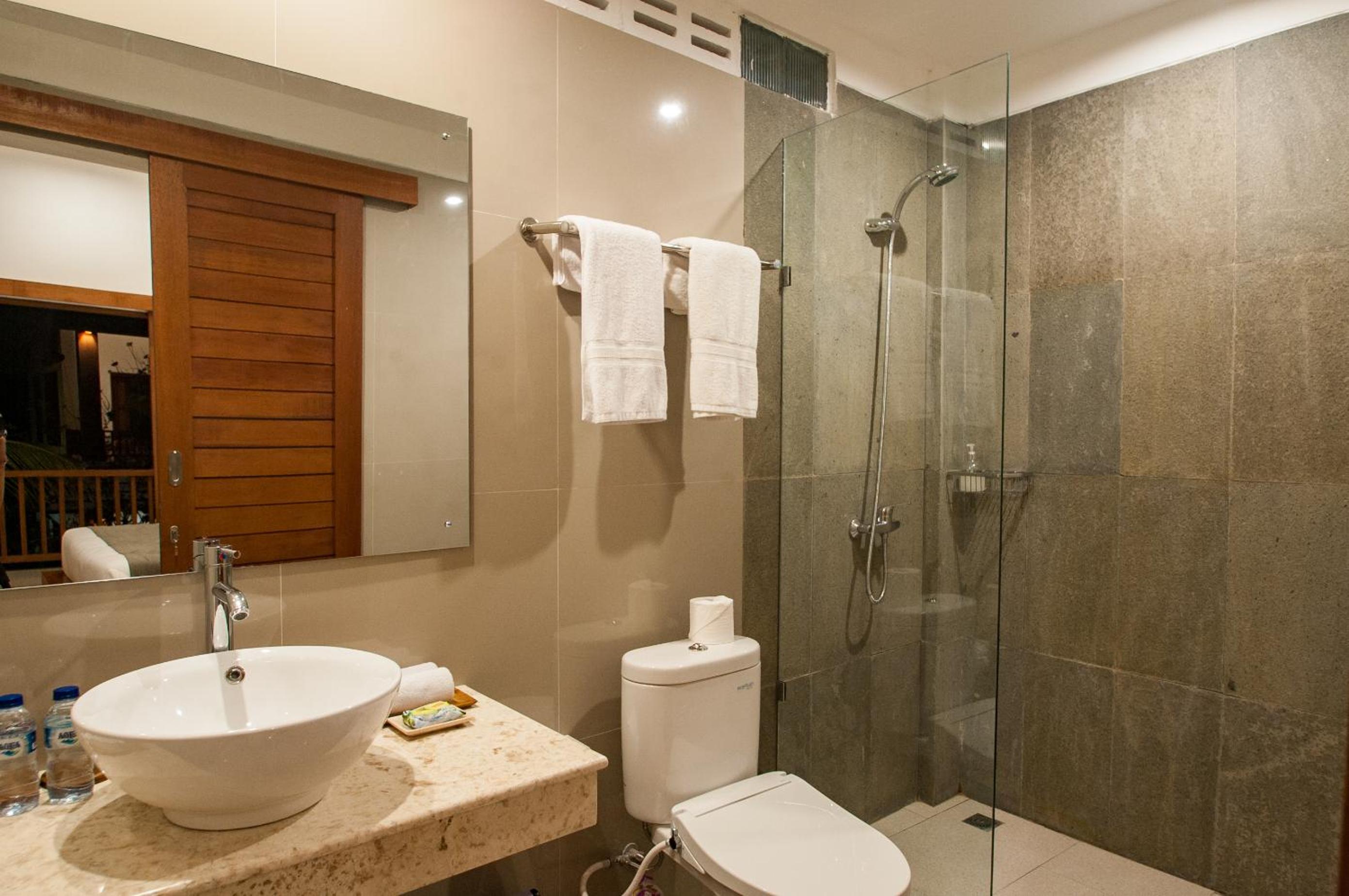 Deluxe Room - Photo 11