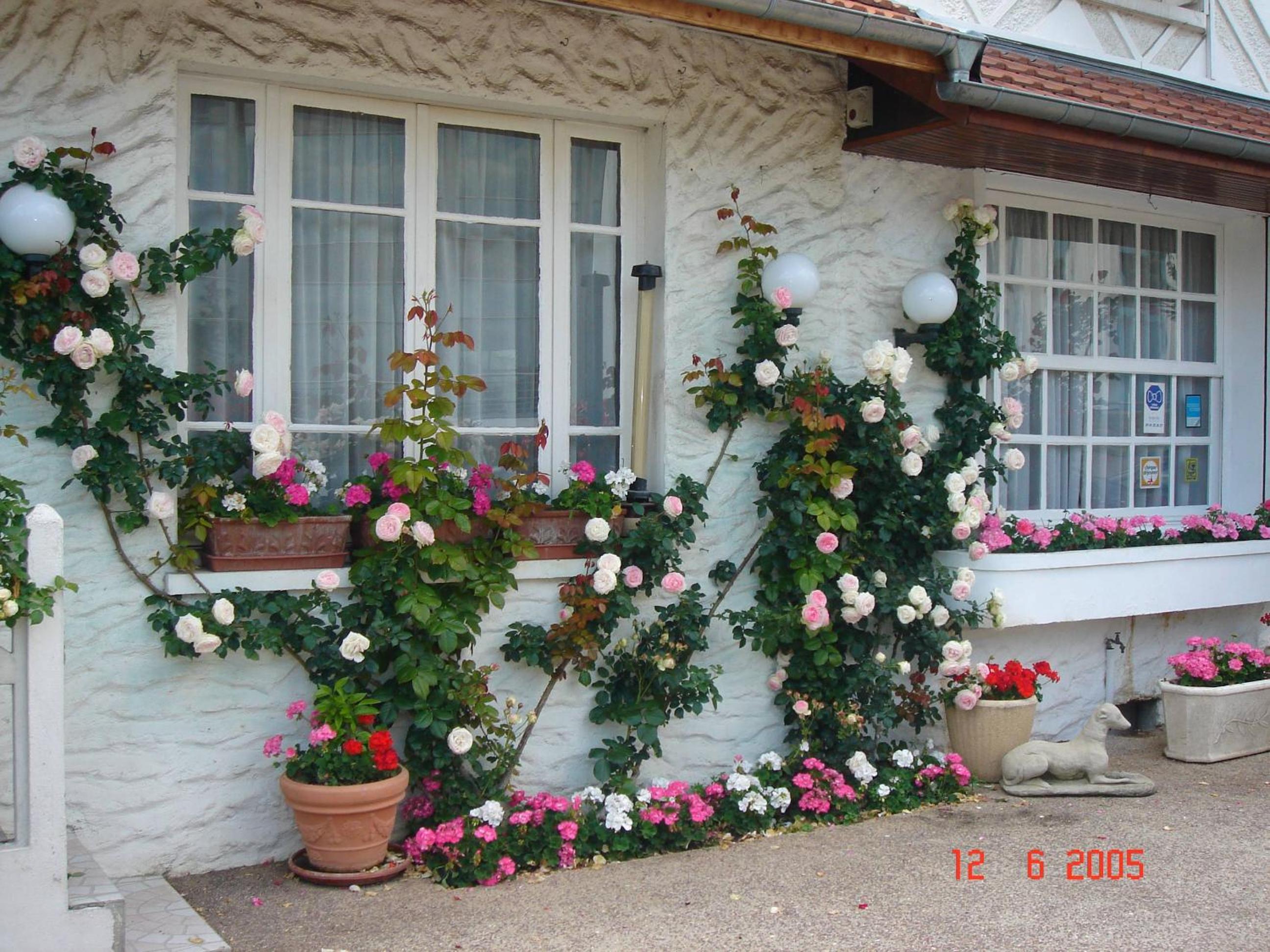Standard Double Room - Photo 6