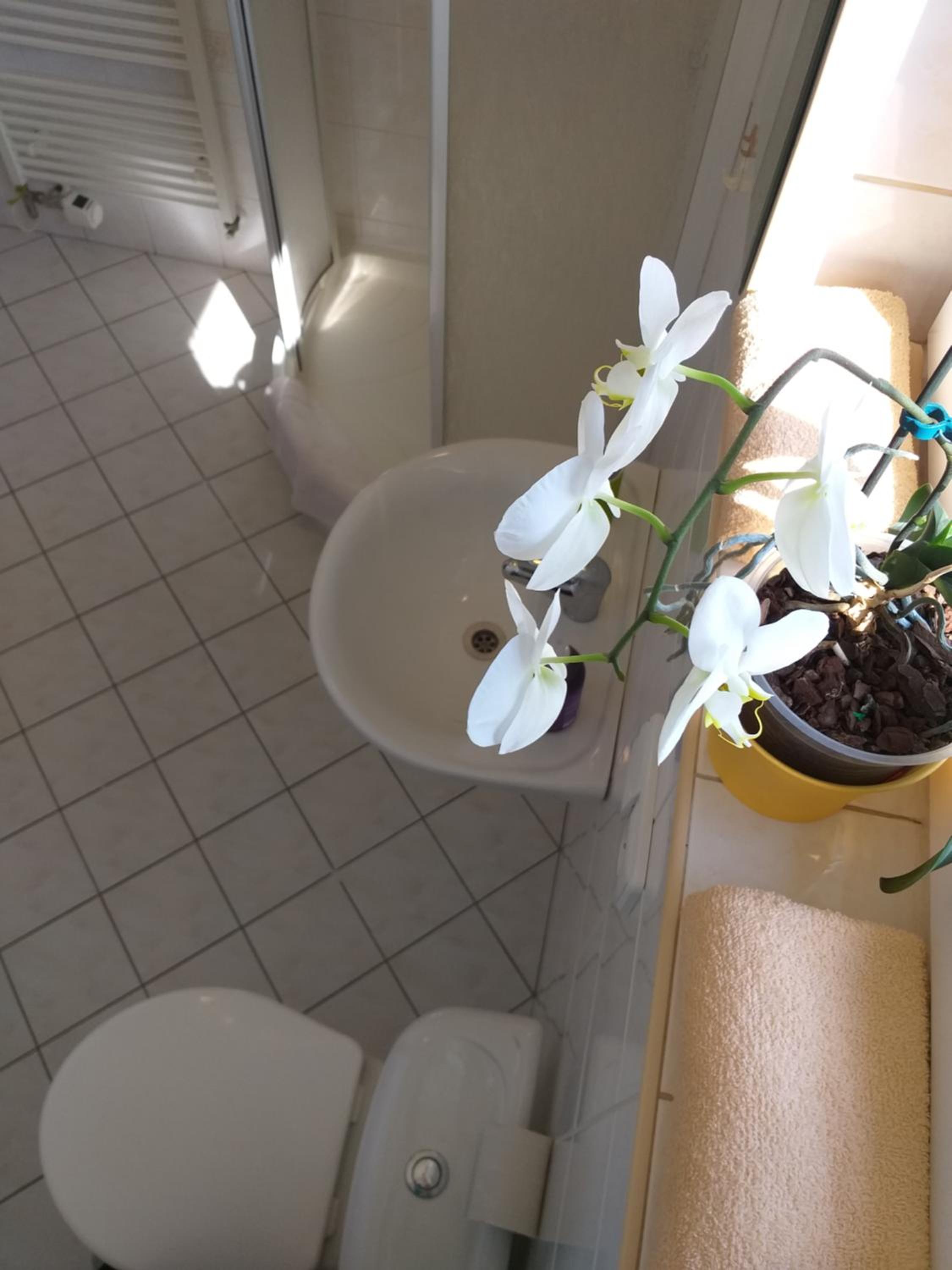 Quadruple Room with Private External Bathroom photo 3