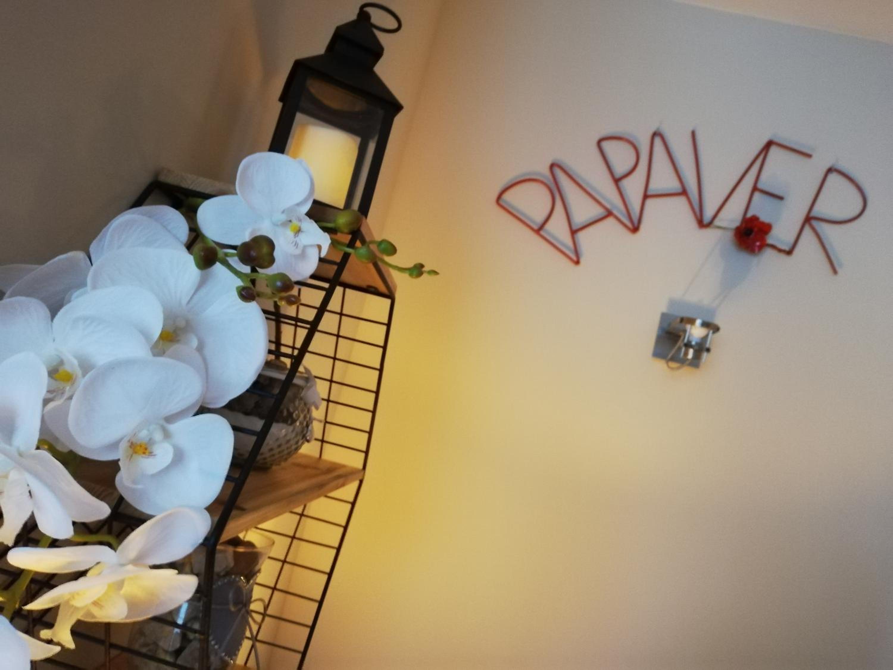 Studio Apartment - Photo 10