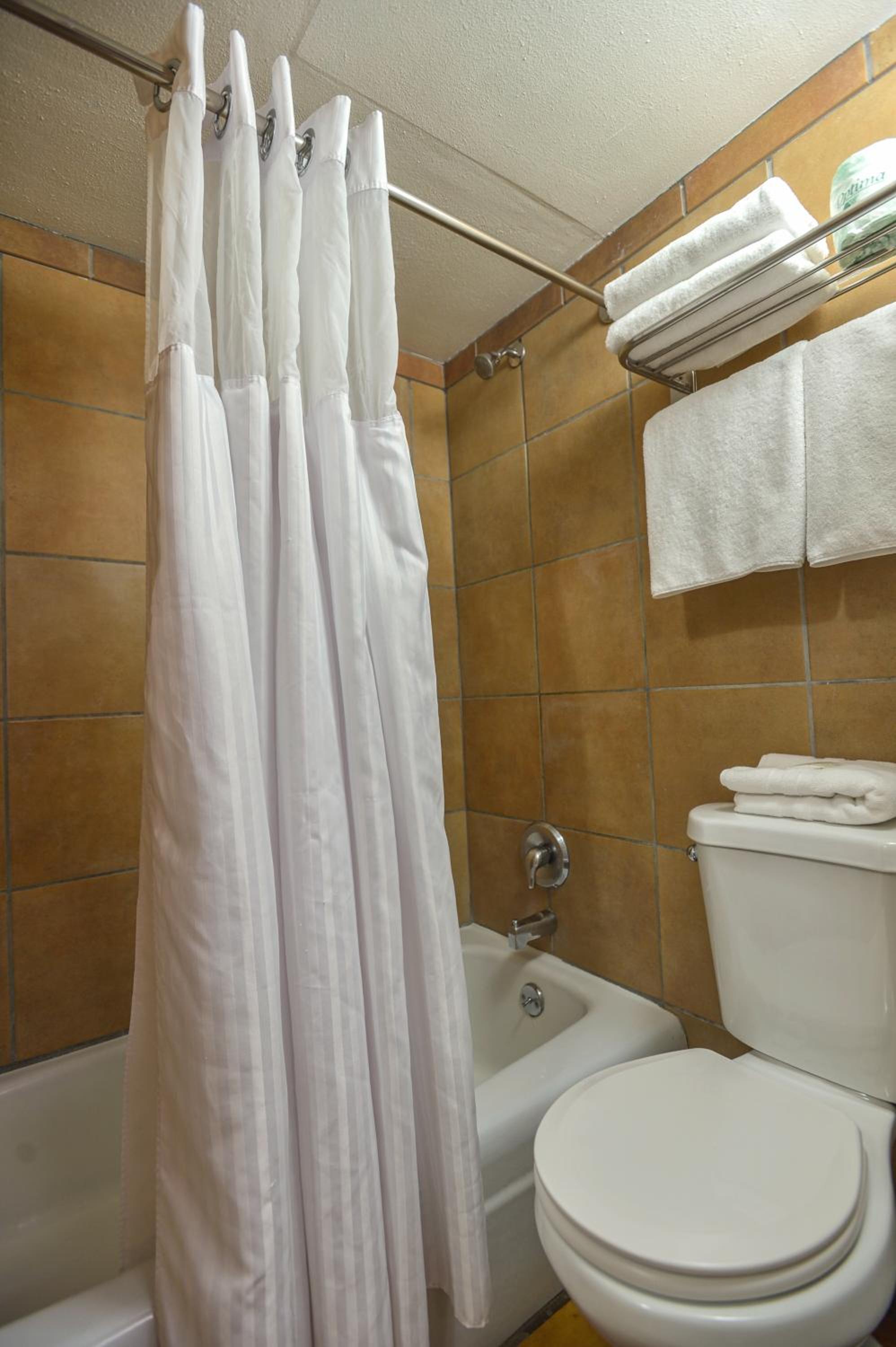 Standard Queen Room with Two Queen Beds - Pet Friendly photo 3