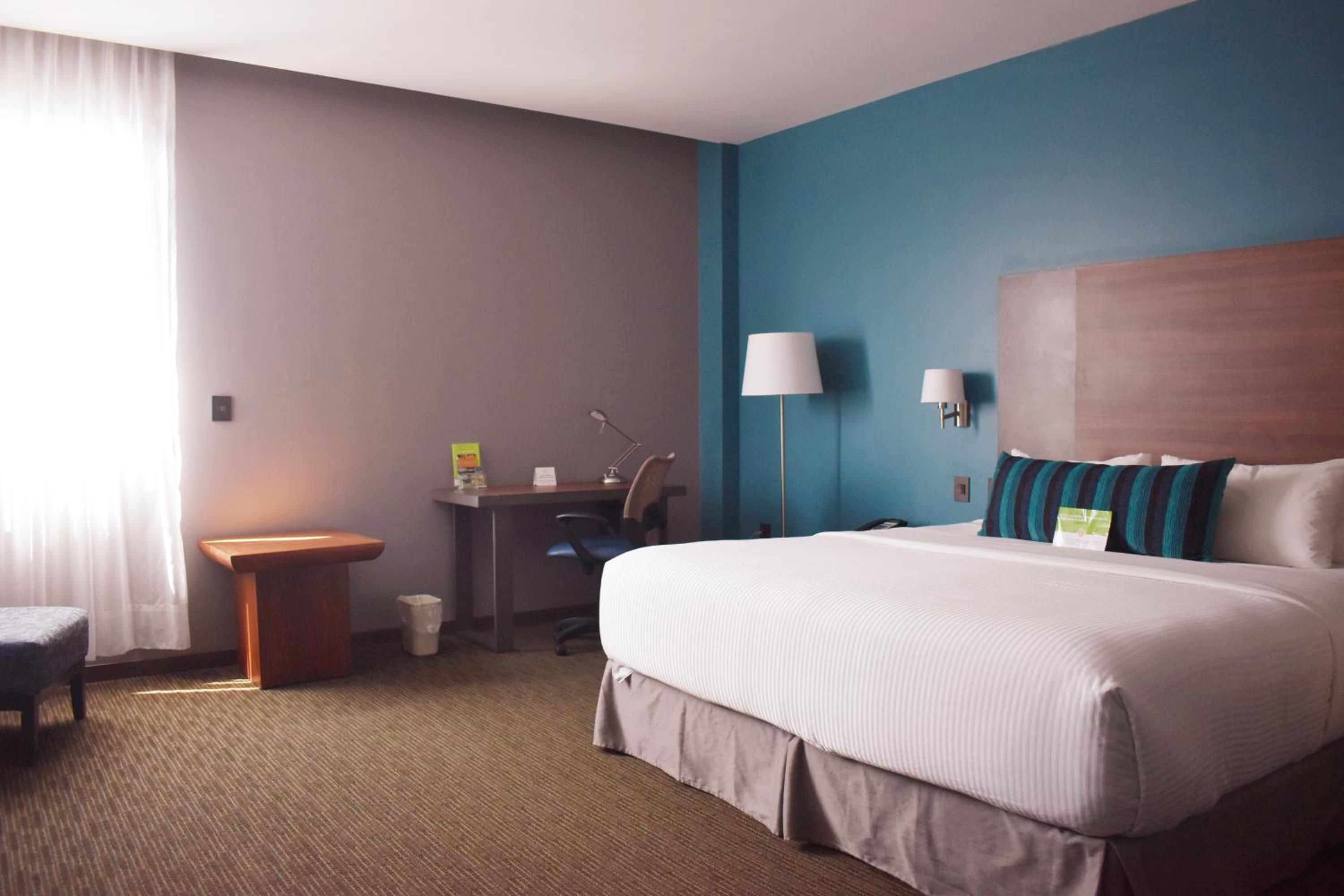 Double Room - Disability Access photo 3