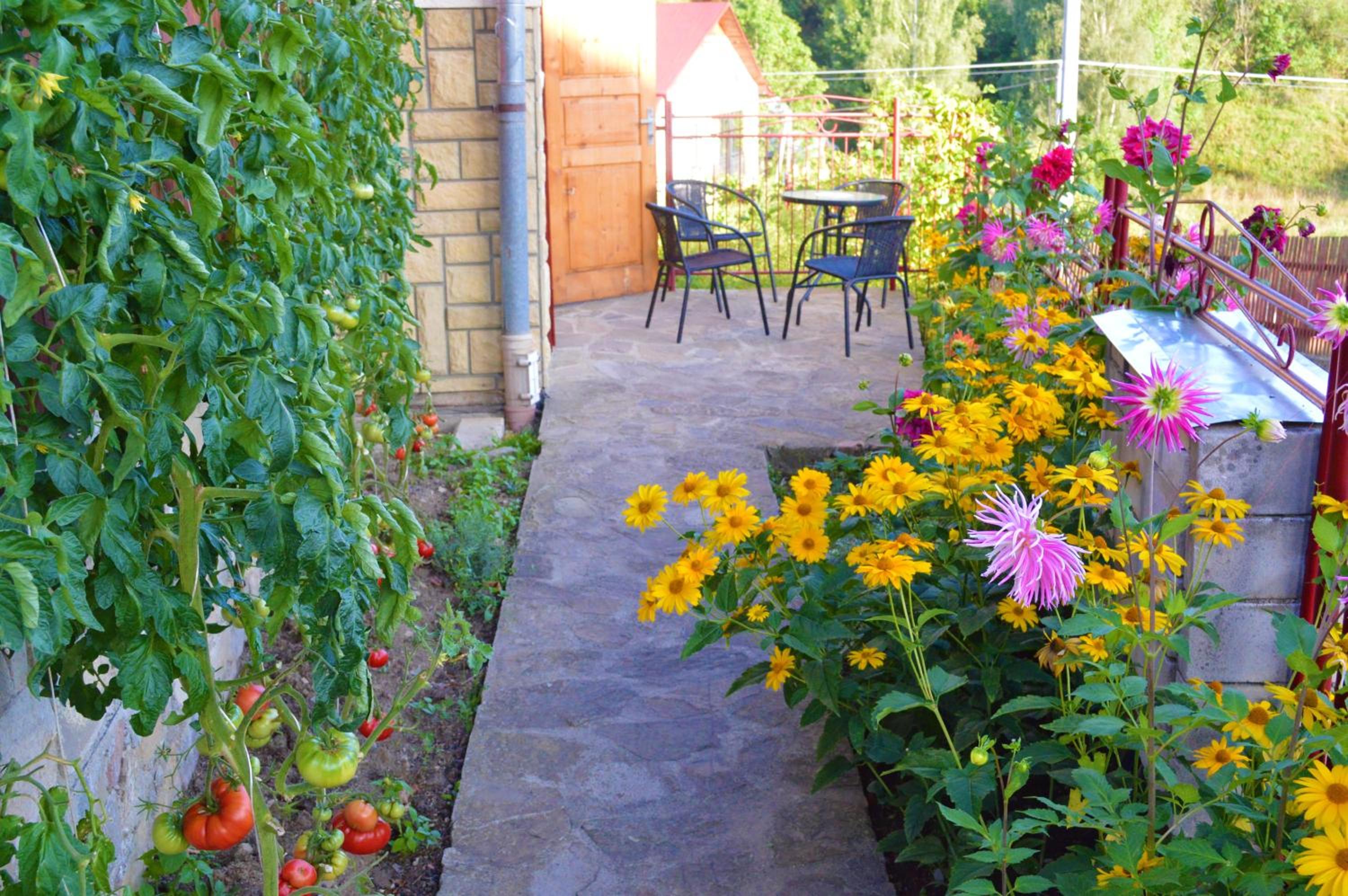 Apartment with Terrace - Photo 13