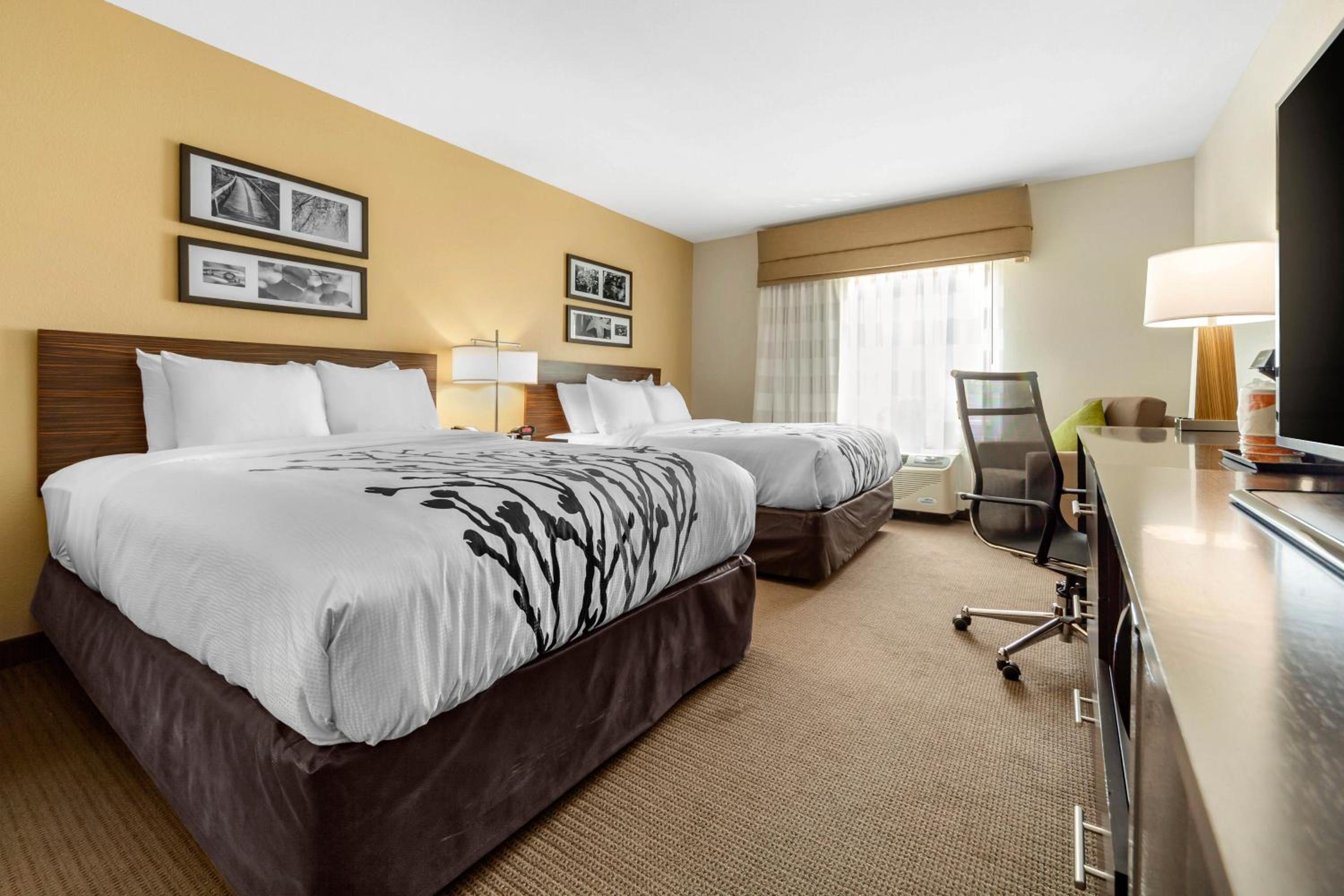 Queen Room with Two Queen Beds - Non-Smoking photo 1