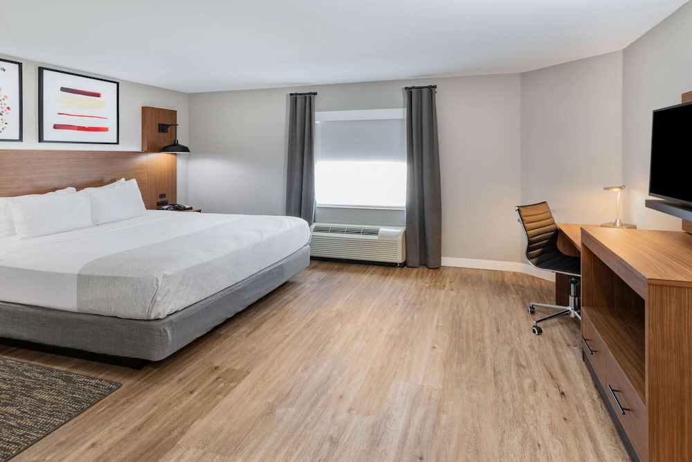 Suite, 1 King Bed, Accessible, Non Smoking (Mobility/Hearing, Battub w/Grab Bars) - Photo 1