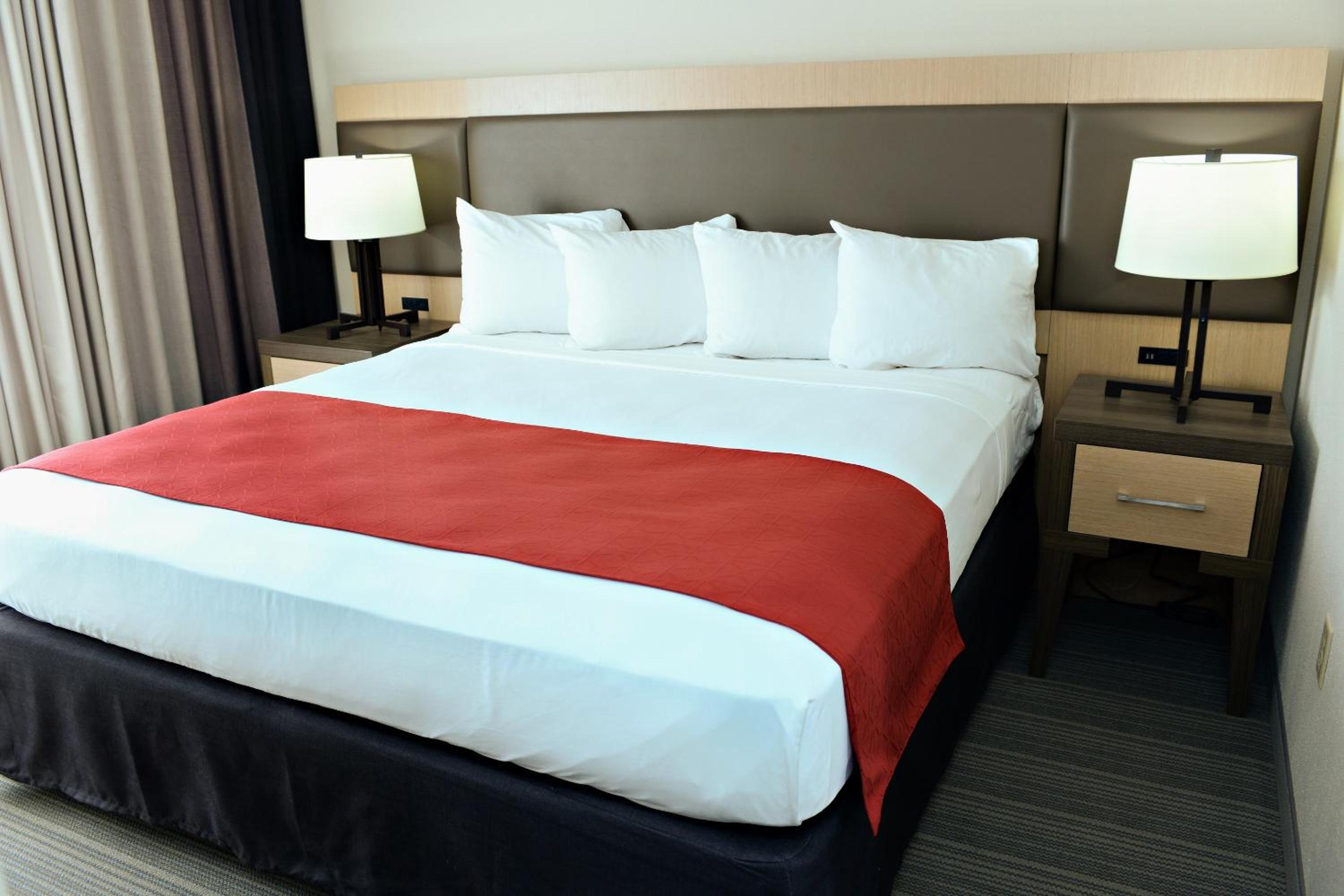 One-Bedroom King Suite - Photo 1