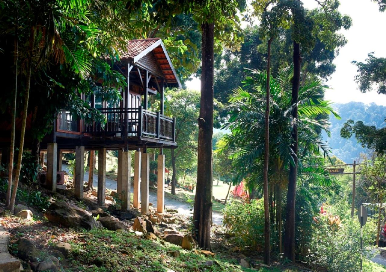 Rainforest Chalet - Photo 4