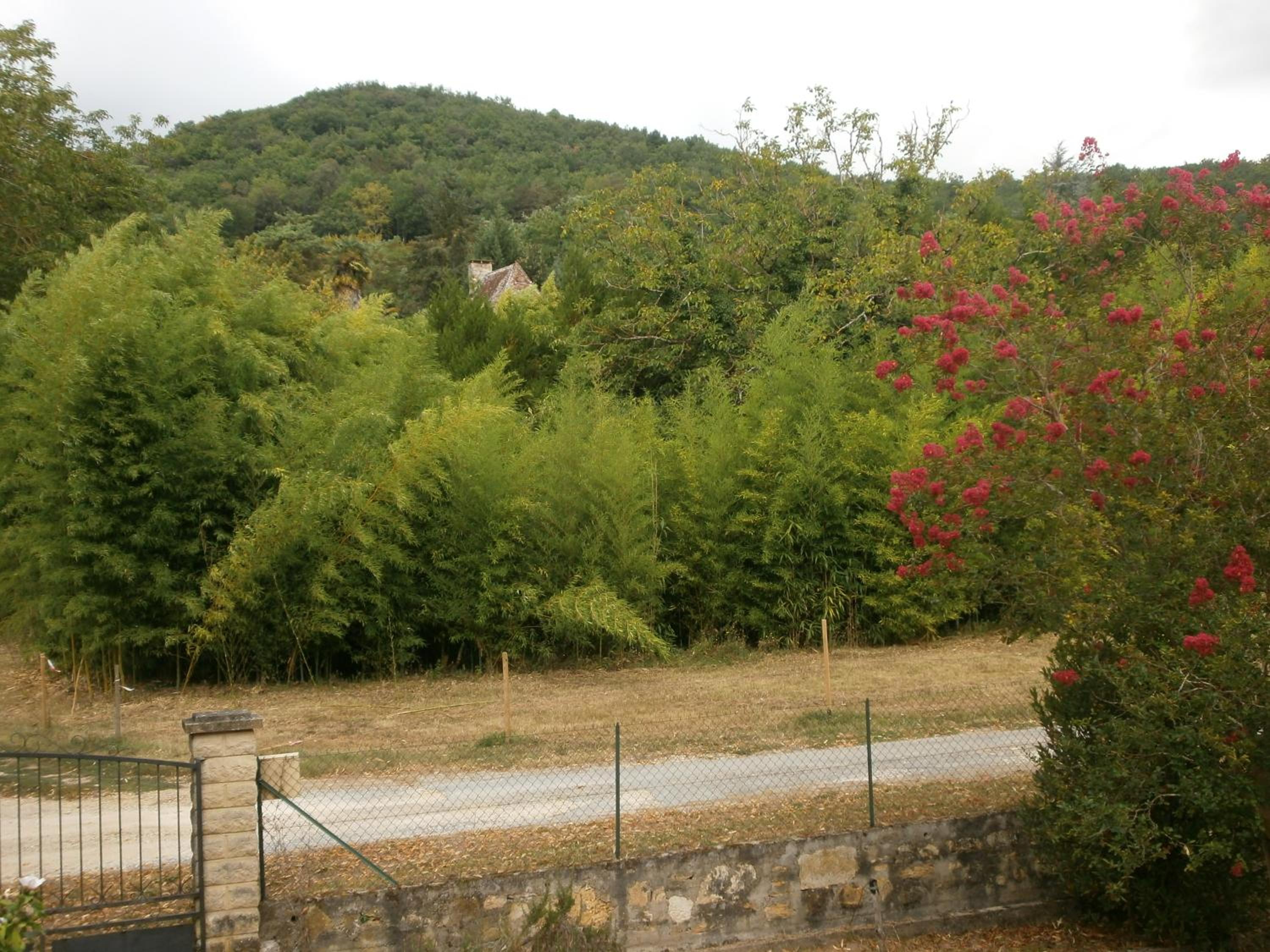Double Room with Garden View - Photo 1