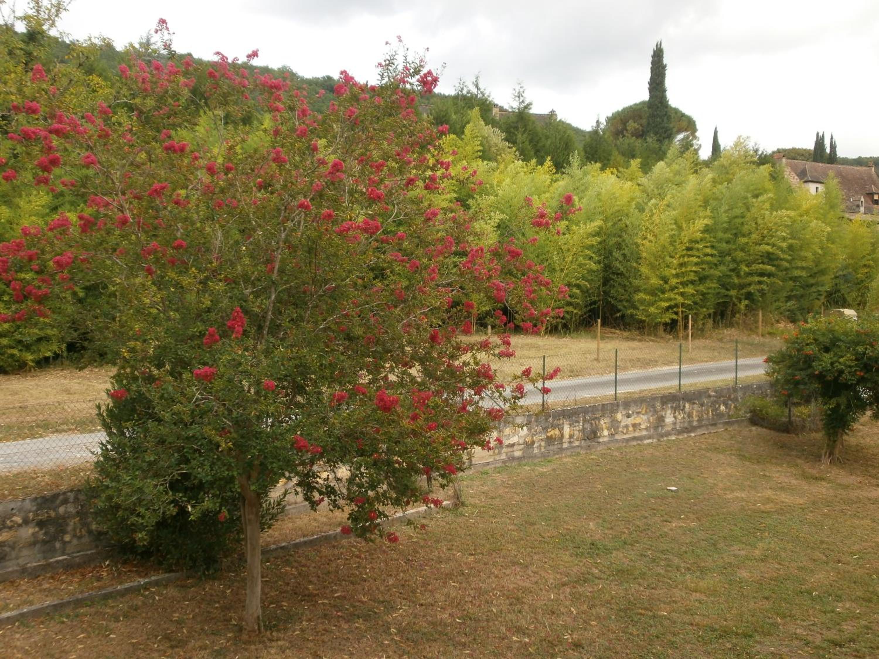Double Room with Garden View - Photo 6