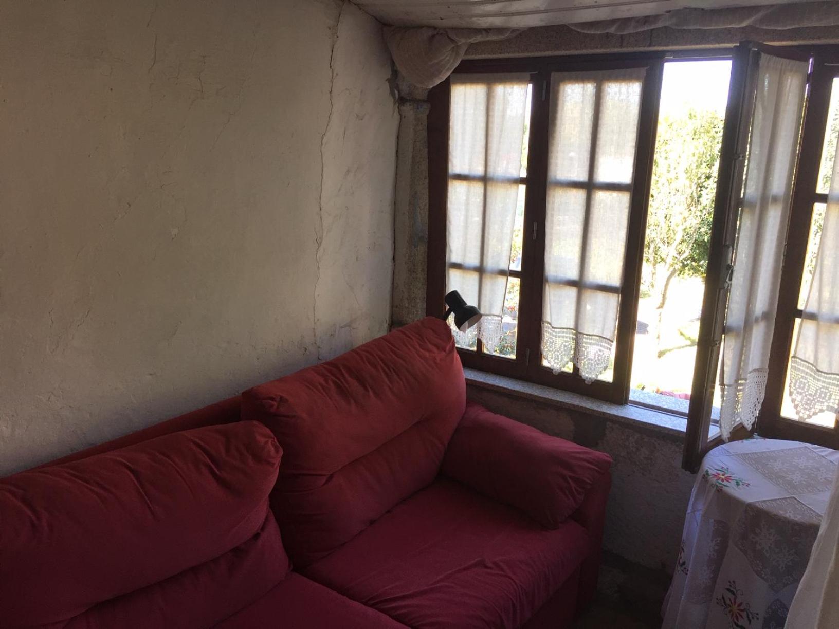 Large Single Room photo 1