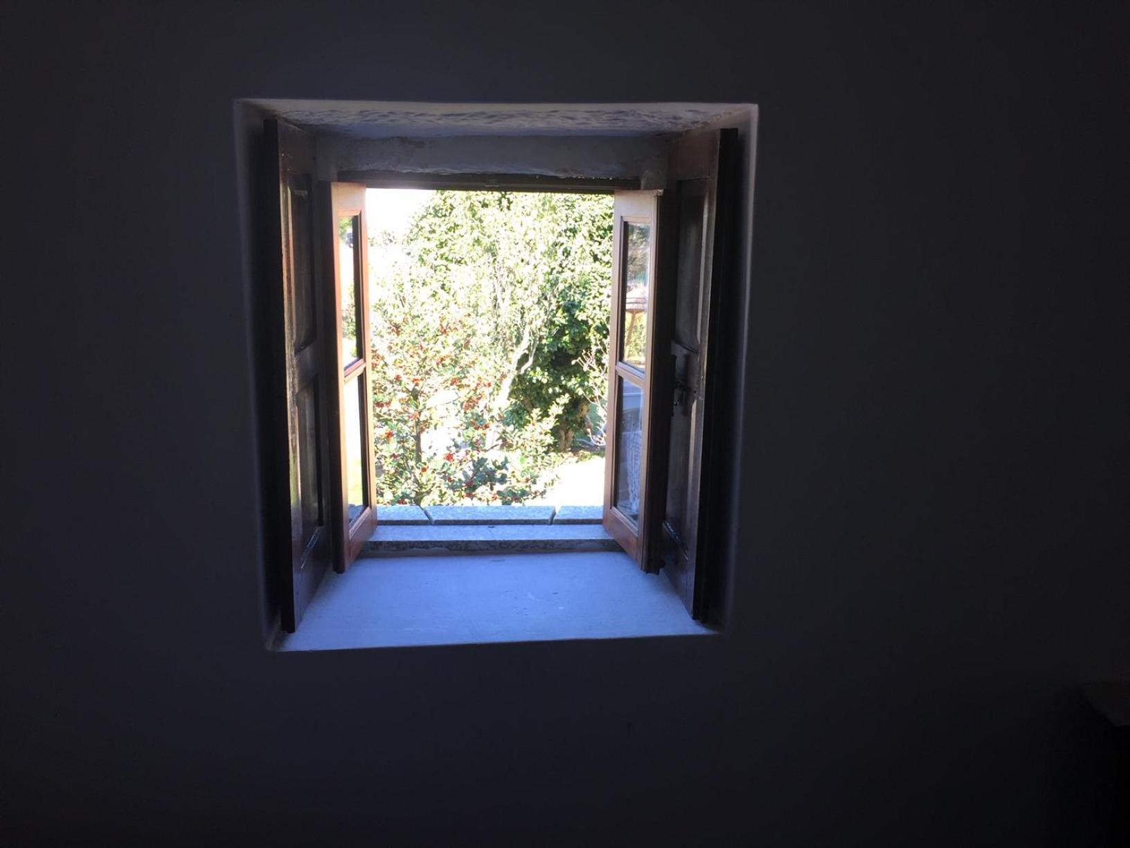 Large Single Room photo 3